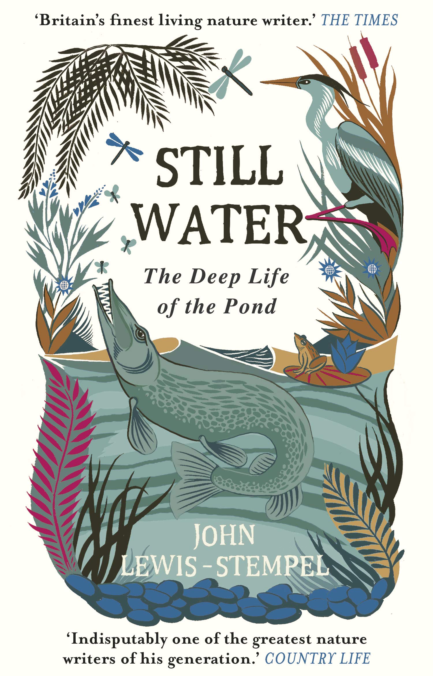 Still Water: The Deep Life of the Pond Mathematics