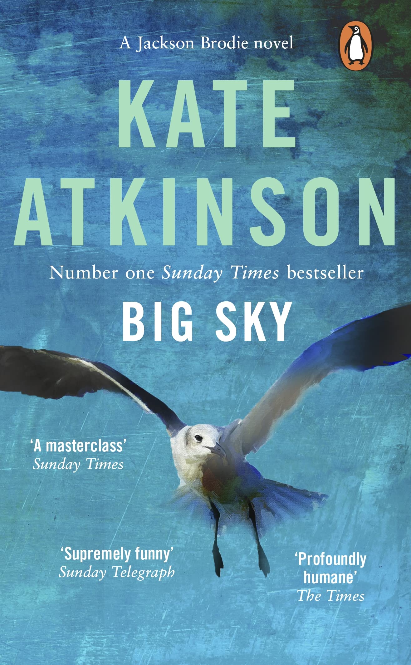Big Sky Contemporary literature Books