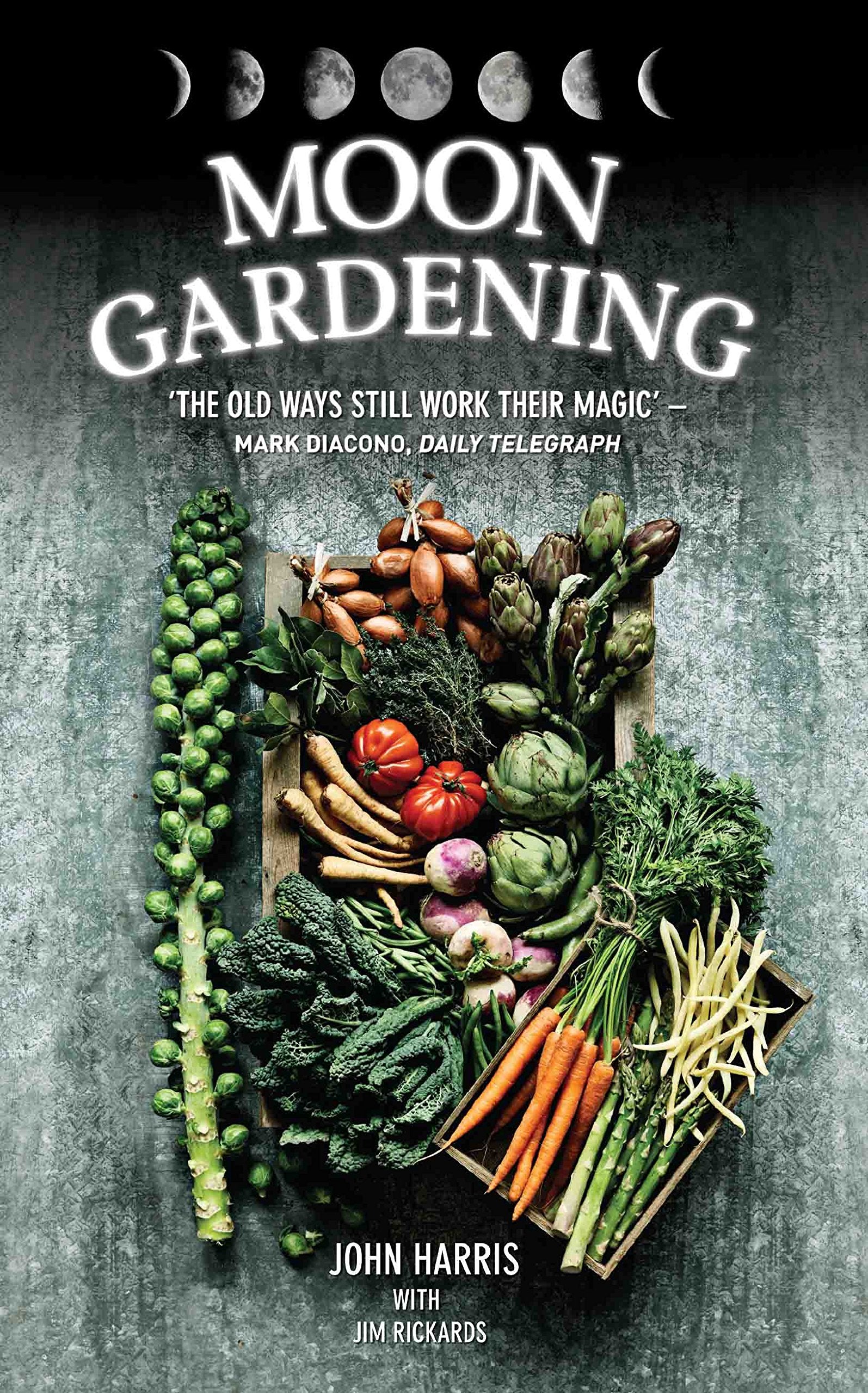 Moon Gardening: Learn Ancient and Natural Ways to Grow More and Better with Less book