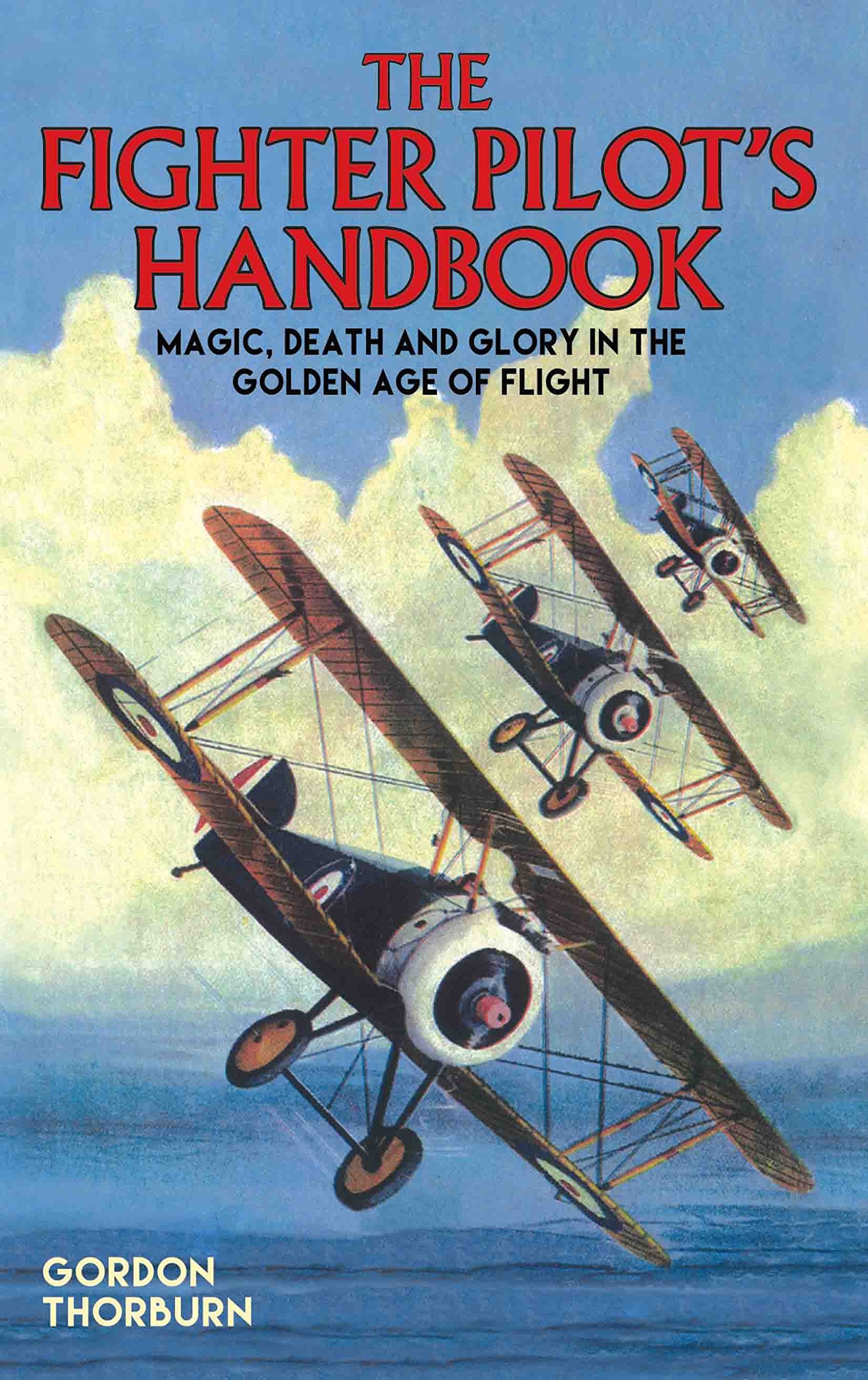 The Fighter Pilot's Handbook: Magic, Death and Glory in the Golden Age of Flight Social Sciences