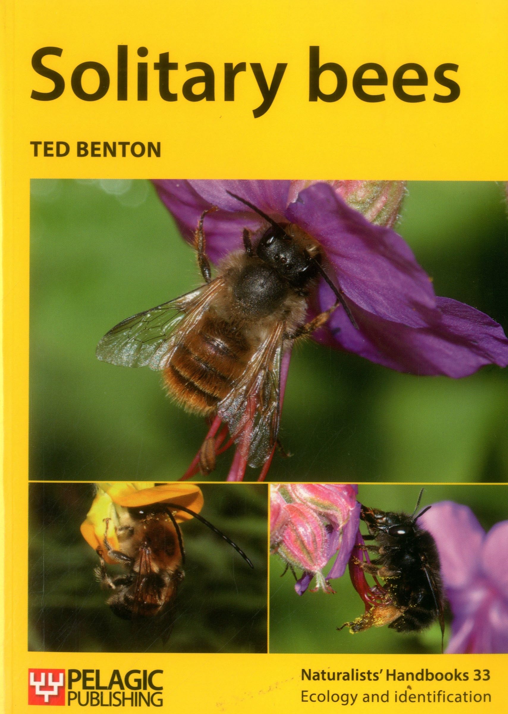 Solitary Bees (Naturalist's Handbooks, 33, Band 33) Mathematics