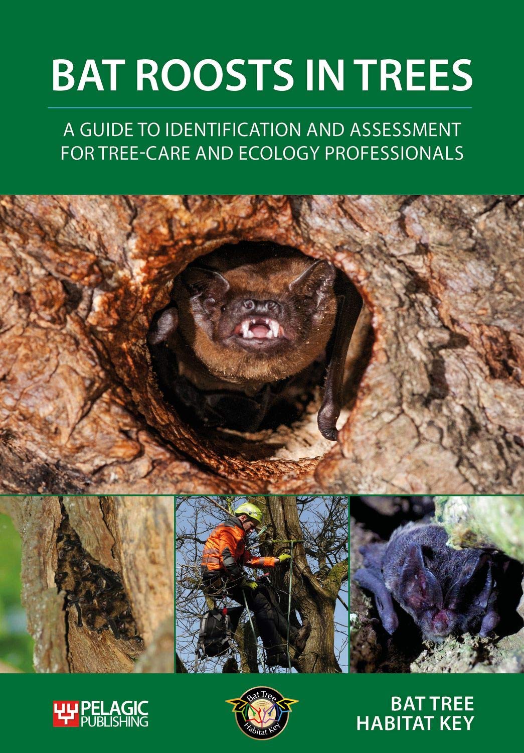 Bat Roosts Trees: A Guide to Identification and Assessment for Tree-Care and Ecology Professionals book