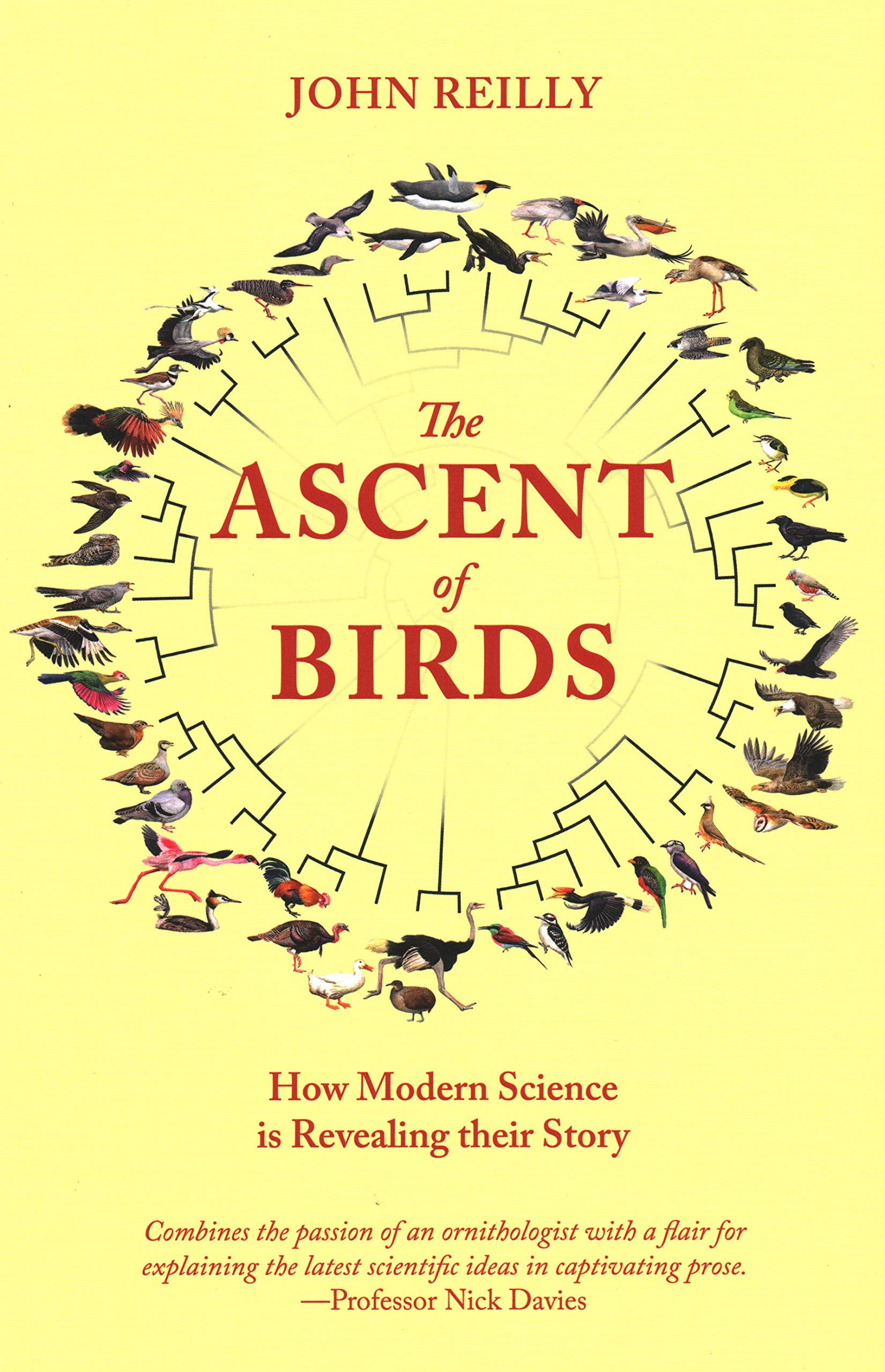 The Ascent of Birds: How Modern Science Is Revealing Their Story Mathematics