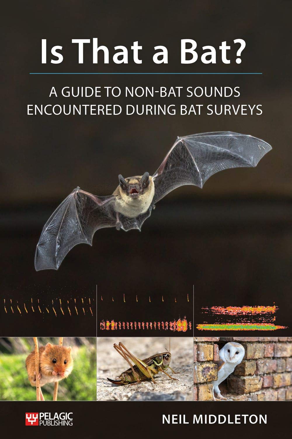Is That a Bat?: A Guide to Non-Bat Sounds Encountered During Bat Surveys book