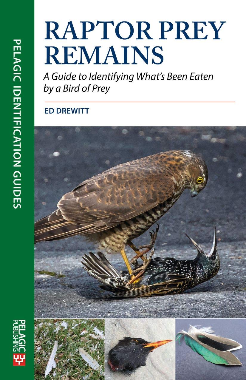 Raptor Prey Remains: A Guide to Identifying What's Been Eaten by a Bird of Prey book