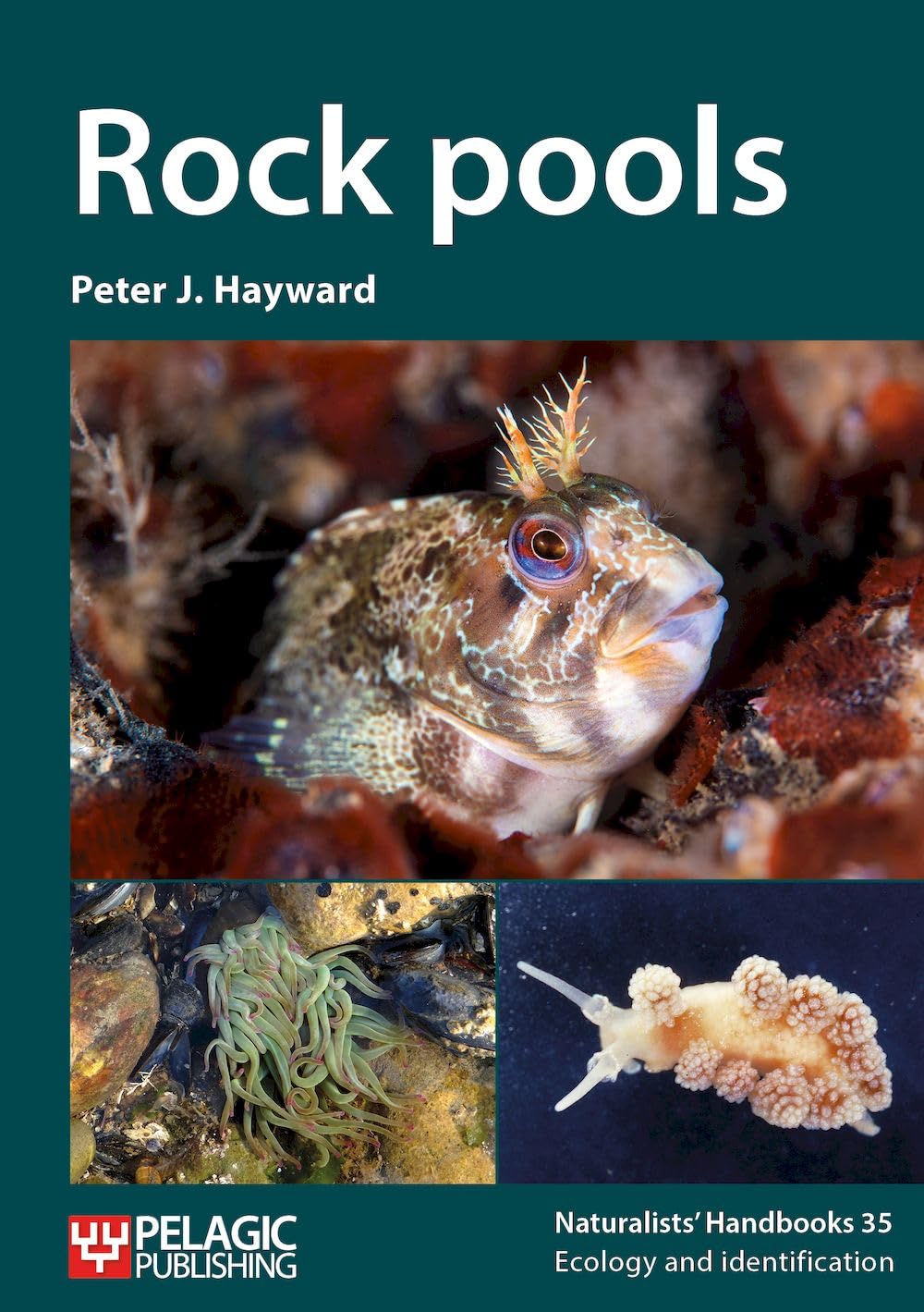 Rock Pools (Naturalist's Handbooks, 35, Band 35) Geology & Geography