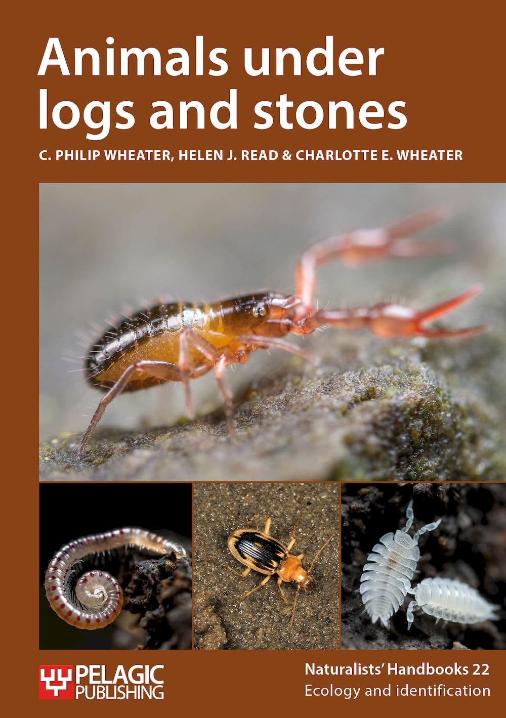 Animals Under Logs and Stones (Naturalists' Handbooks, 22, Band 22) Mathematics