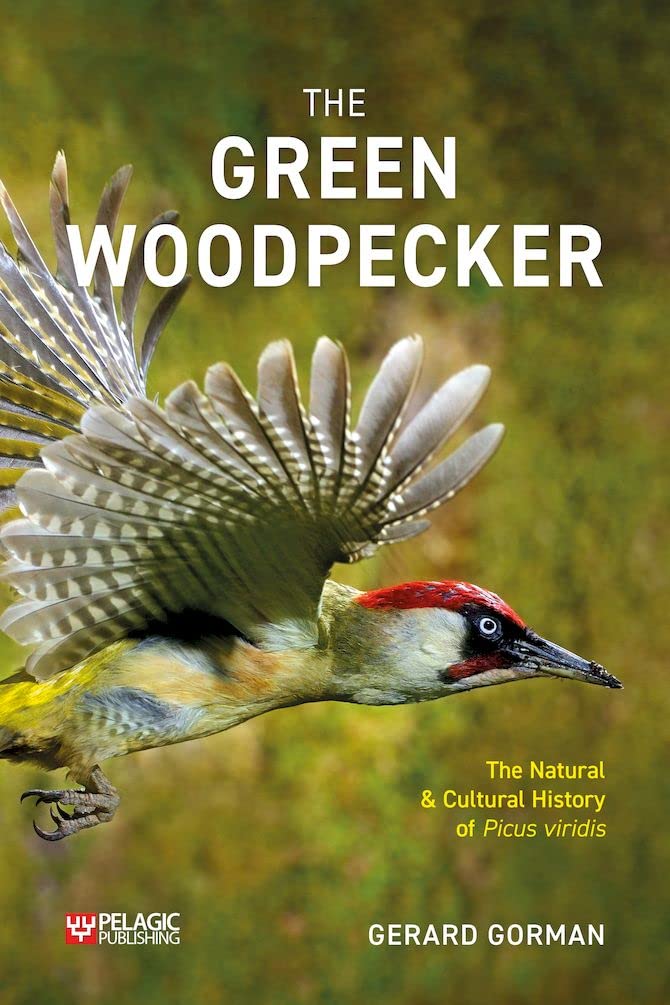 Product Image: Green Woodpecker