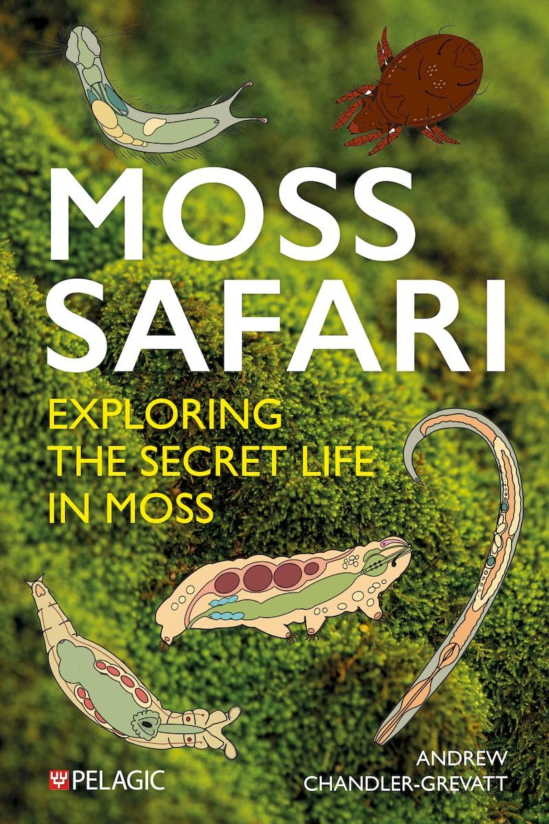 Moss Safari: Exploring the Secret Life in Moss Mathematics