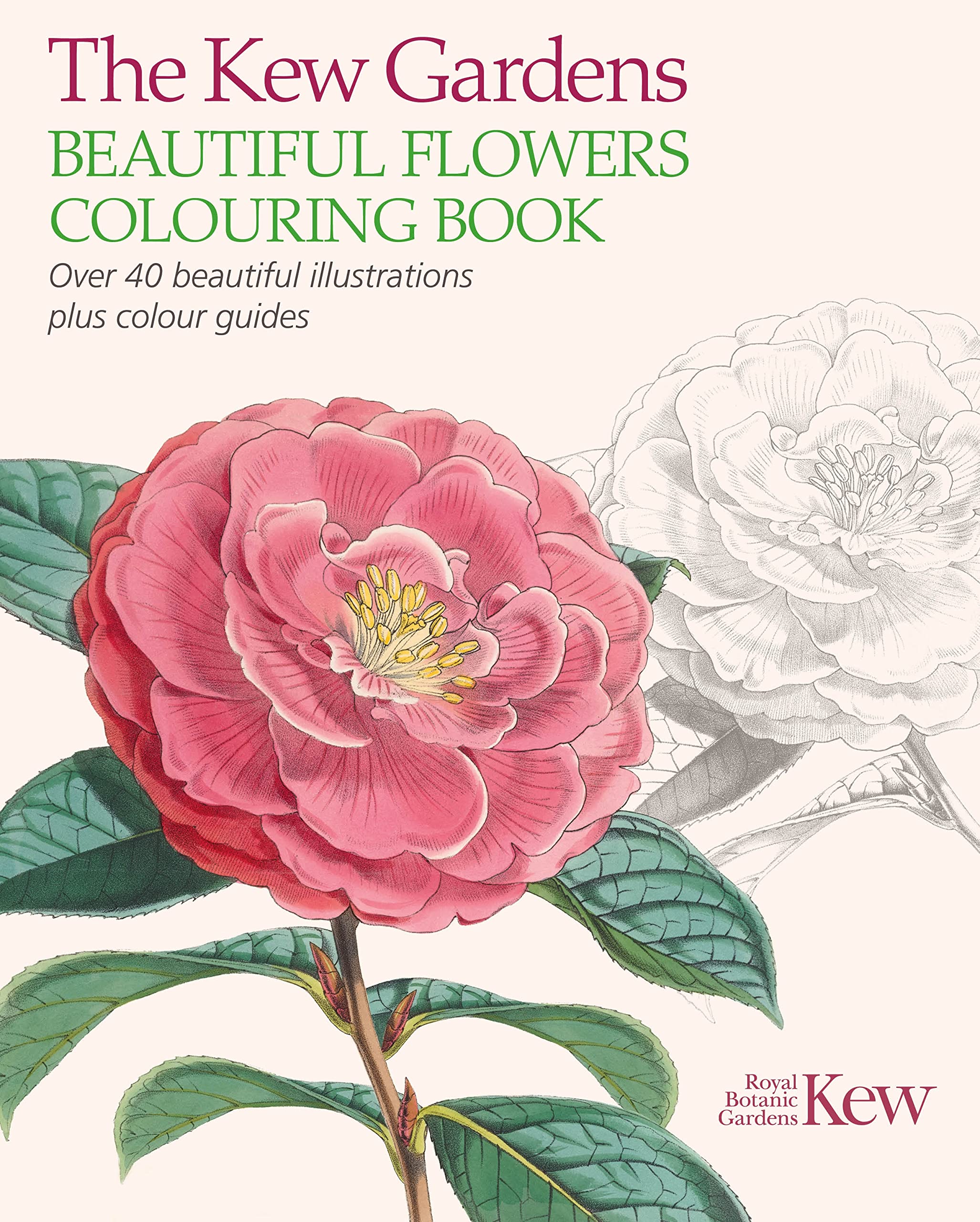 The Kew Gardens Beautiful Flowers Colouring Book Hobbies & Crafts