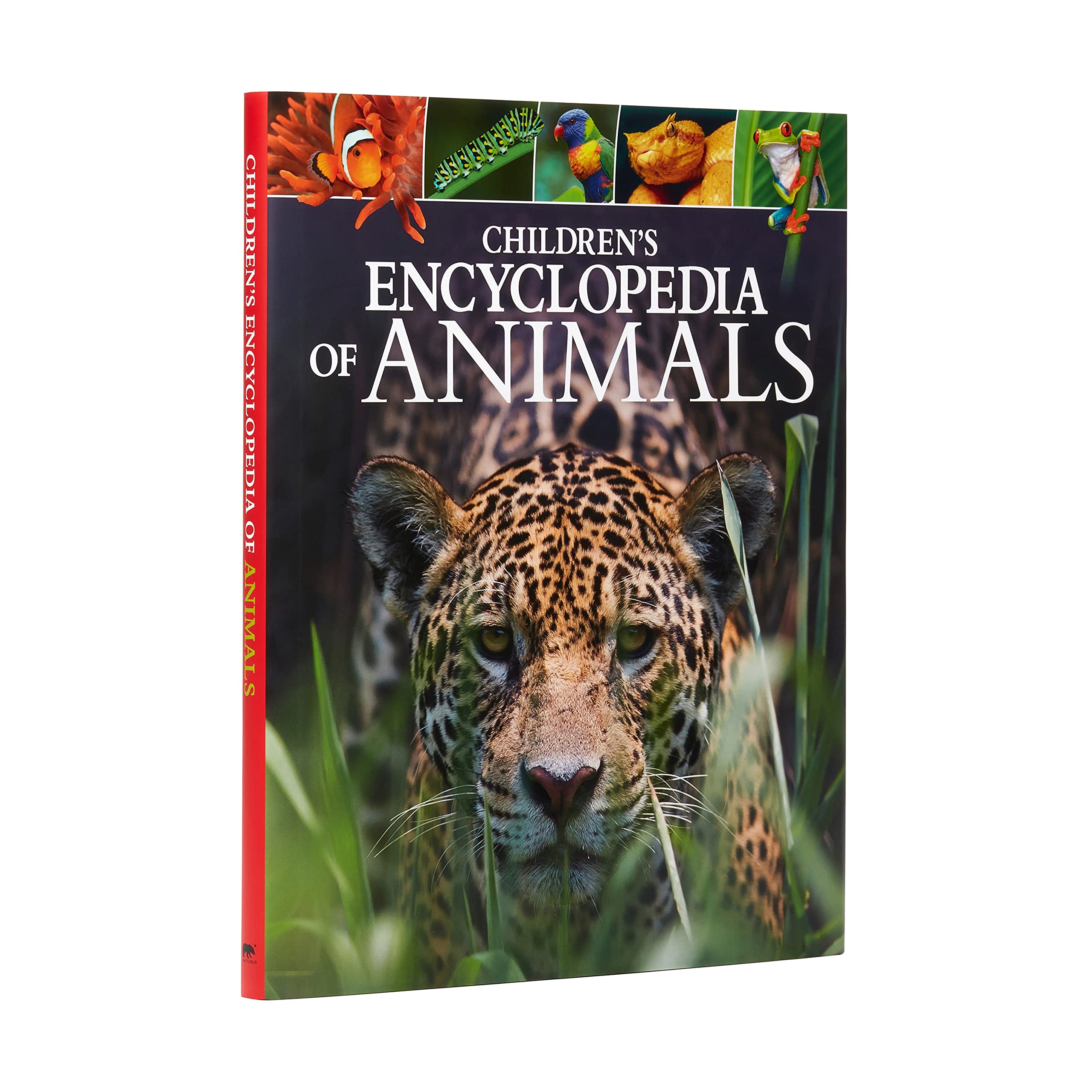 Children's Encyclopedia of Animals: Take a Walk on the Wild Side! (Arcturus Children's Reference Library) Non-fiction