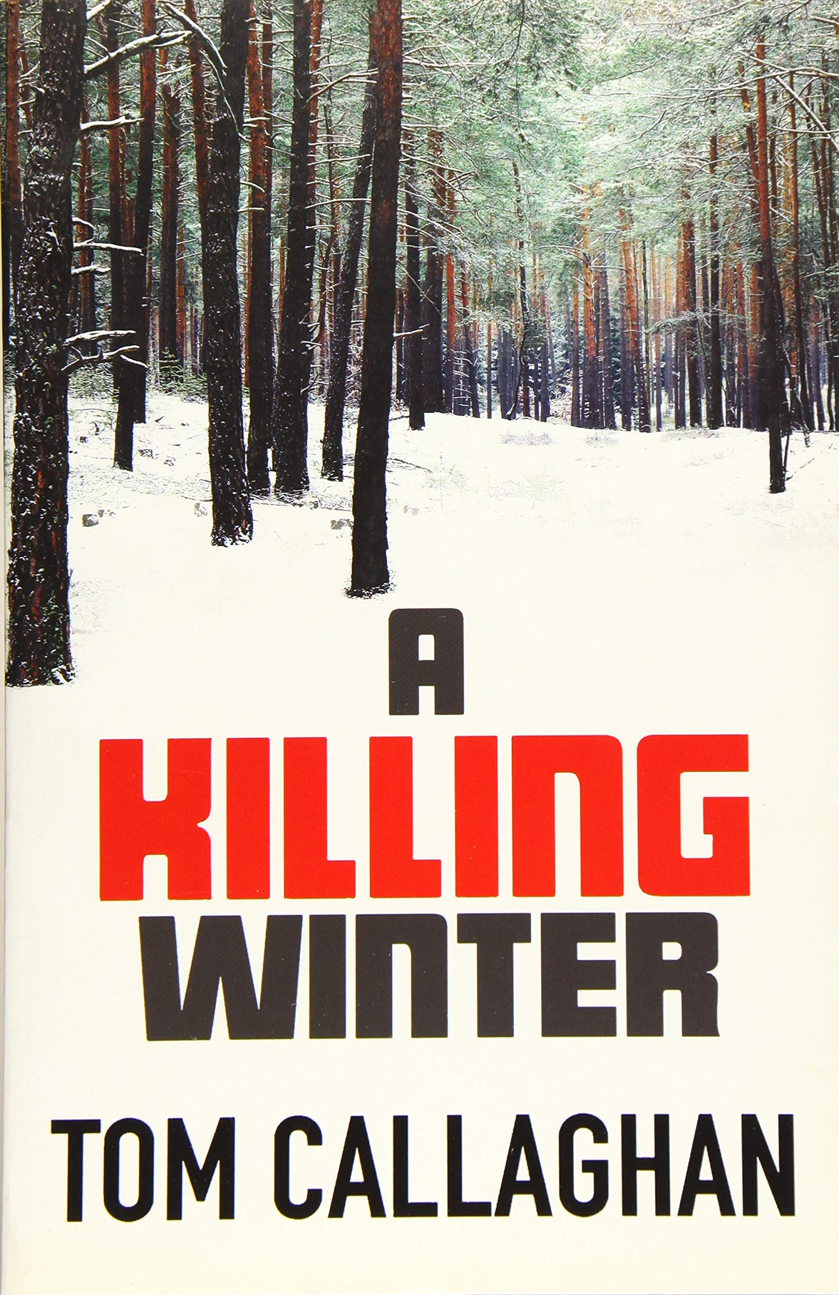 A Killing Winter: An Inspector Akyl Borubaev Thriller (1) Action & Adventure