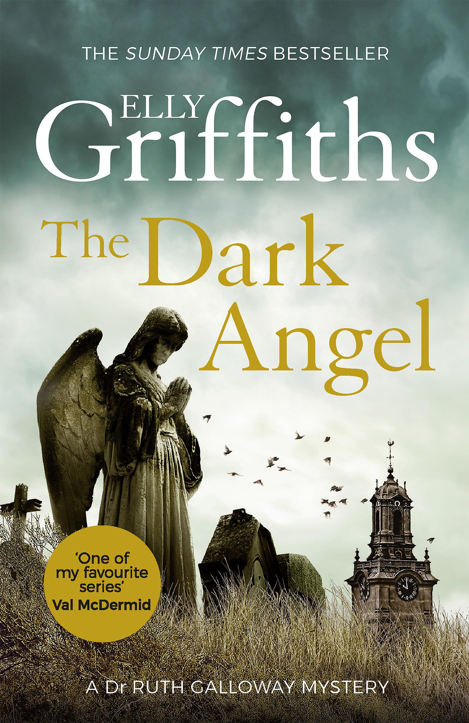 The Dark Angel Contemporary literature Books