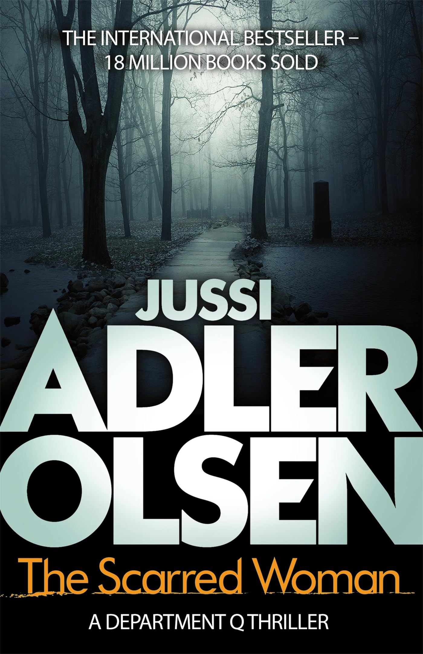 The Scarred Woman: A Department Q Thriller Contemporary literature
