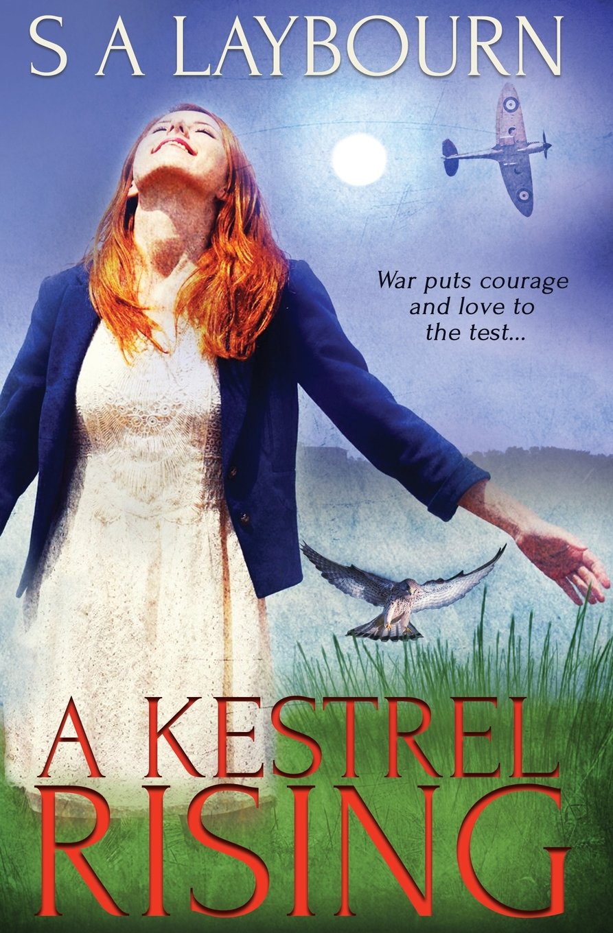 Product Image: A Kestrel Rising