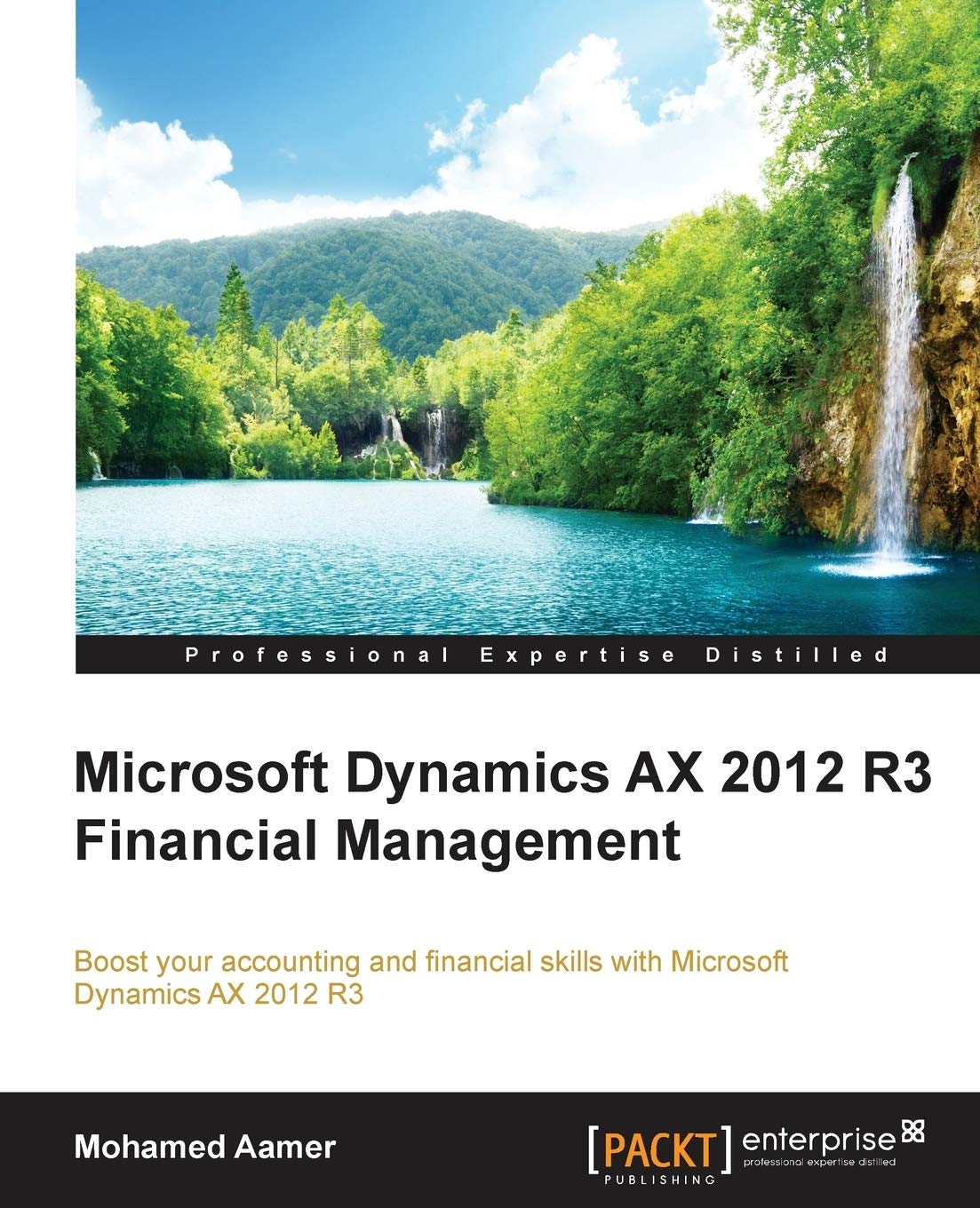 Microsoft Dynamics AX 2012 R3 Financial Management (English Edition) Business, Finance & Career