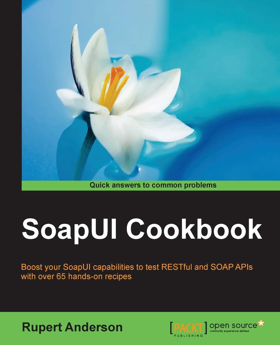 SoapUI Cookbook (English Edition) Computer Science
