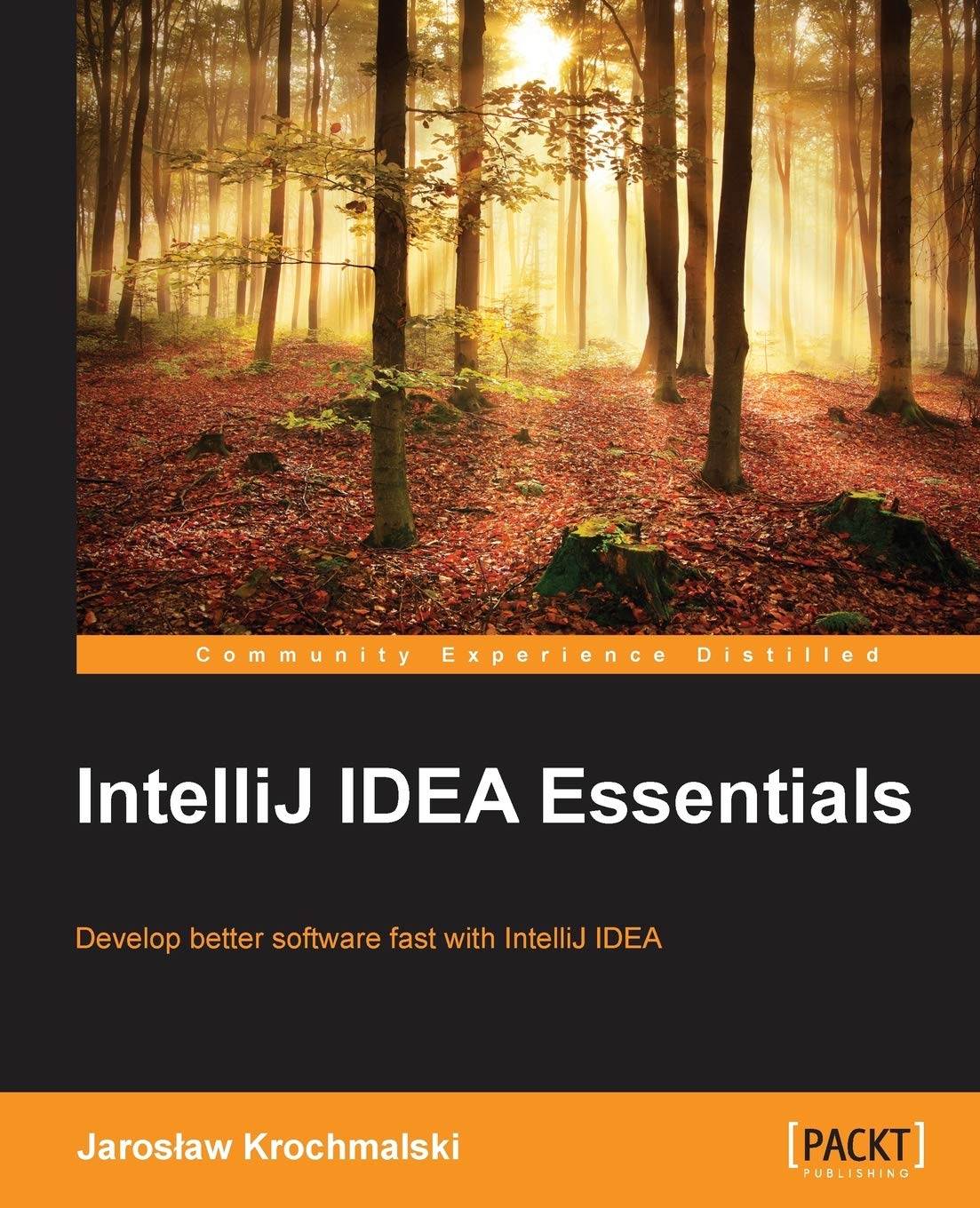 IntelliJ IDEA Essentials (English Edition) Computer Science