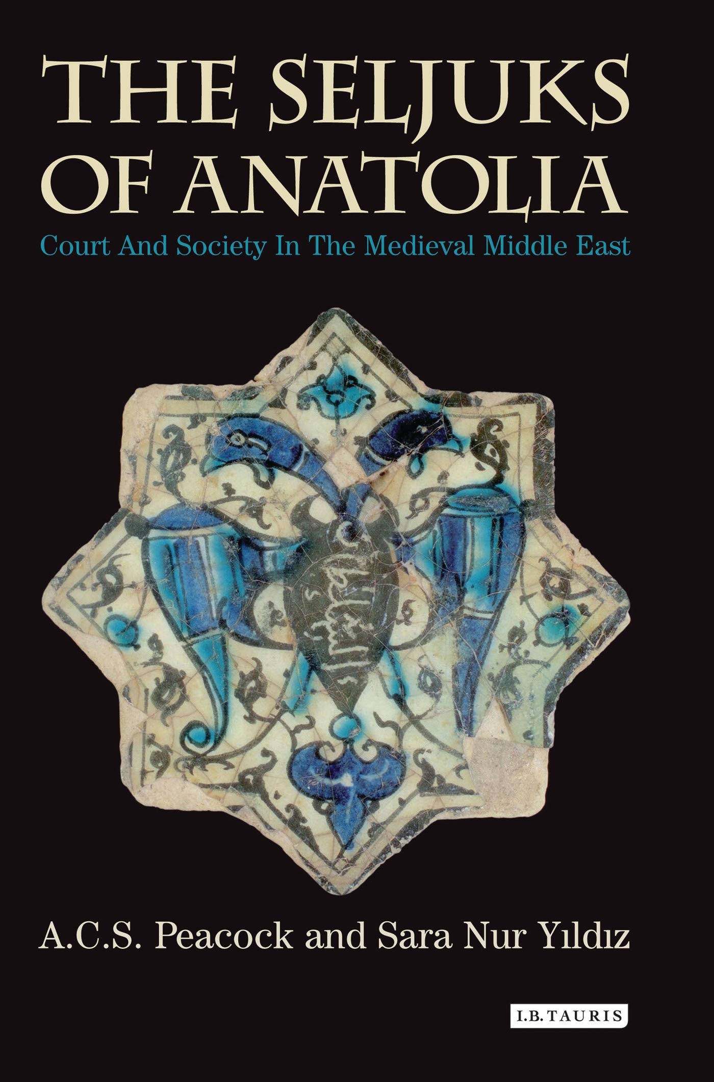 The Seljuks of Anatolia: Court and Society in the Medieval Middle East book