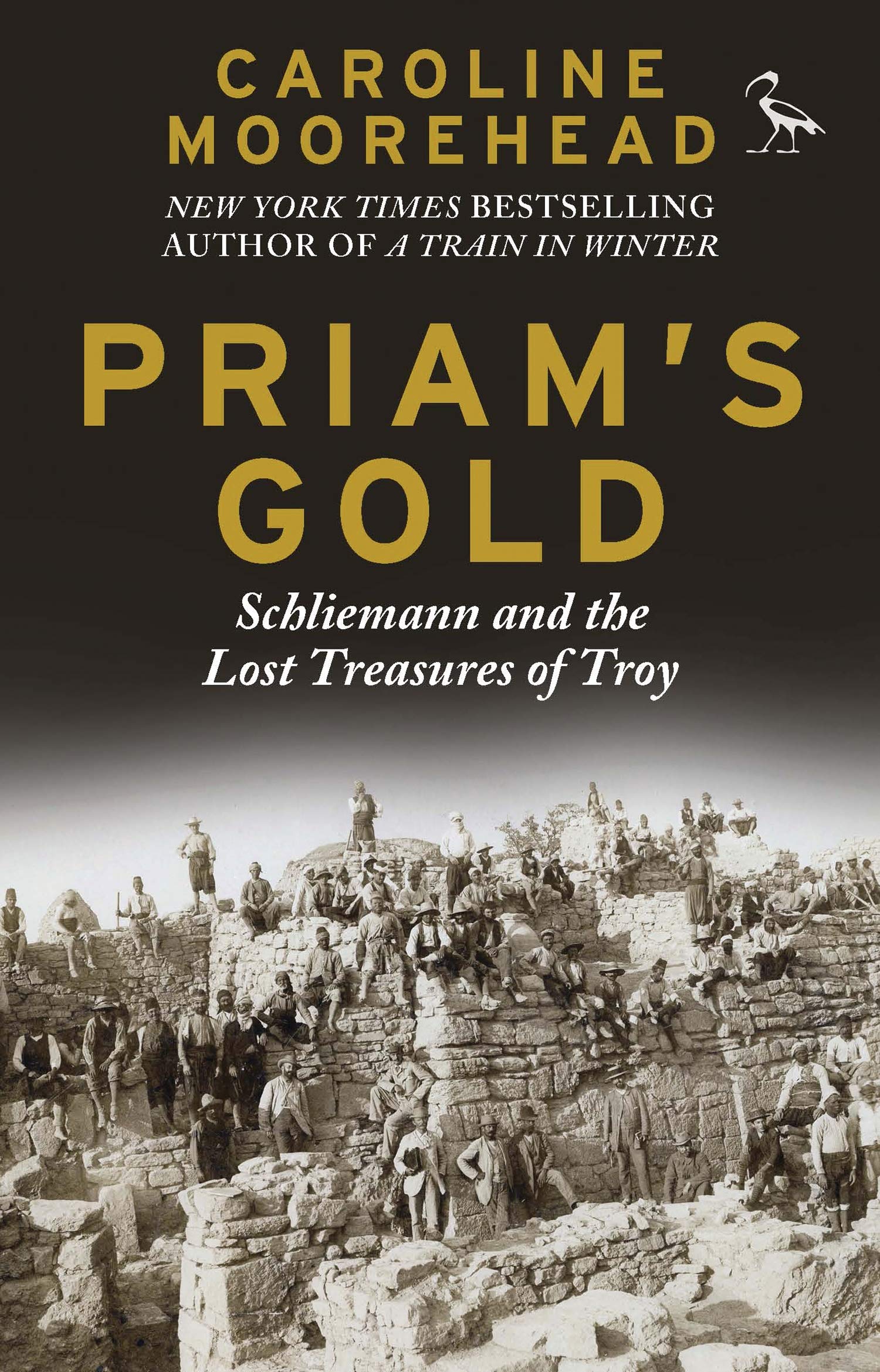 Priam's Gold: Schliemann and the Lost Treasures of Troy Politics & Society