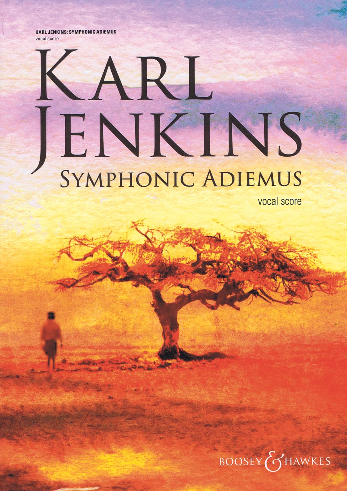 Symphonic Adiemus: gemischter Chor (SATB divisi) und Orchester. Klavierauszug. Sheet Music