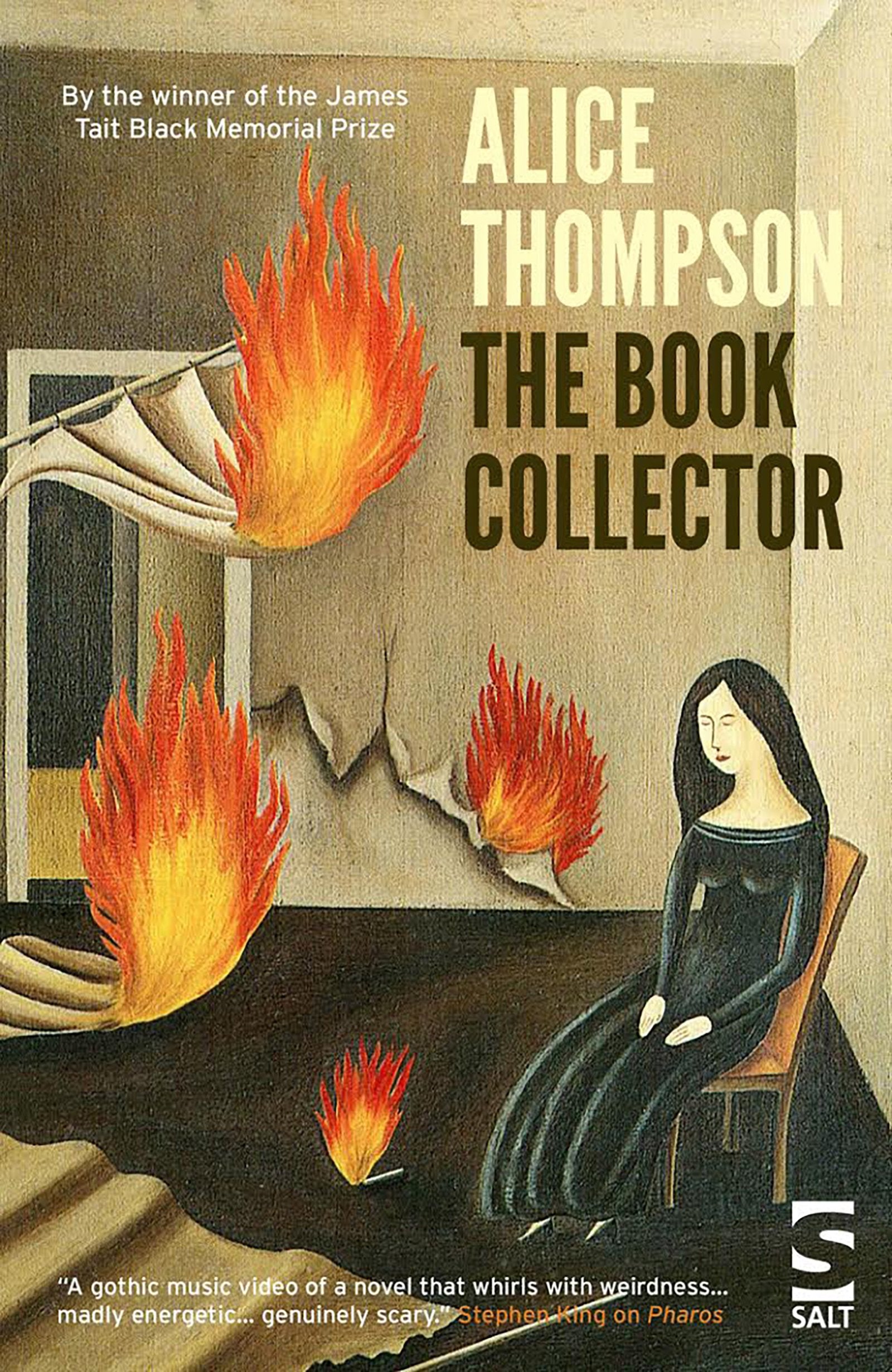 The Book Collector (Salt Modern Fiction) Contemporary literature