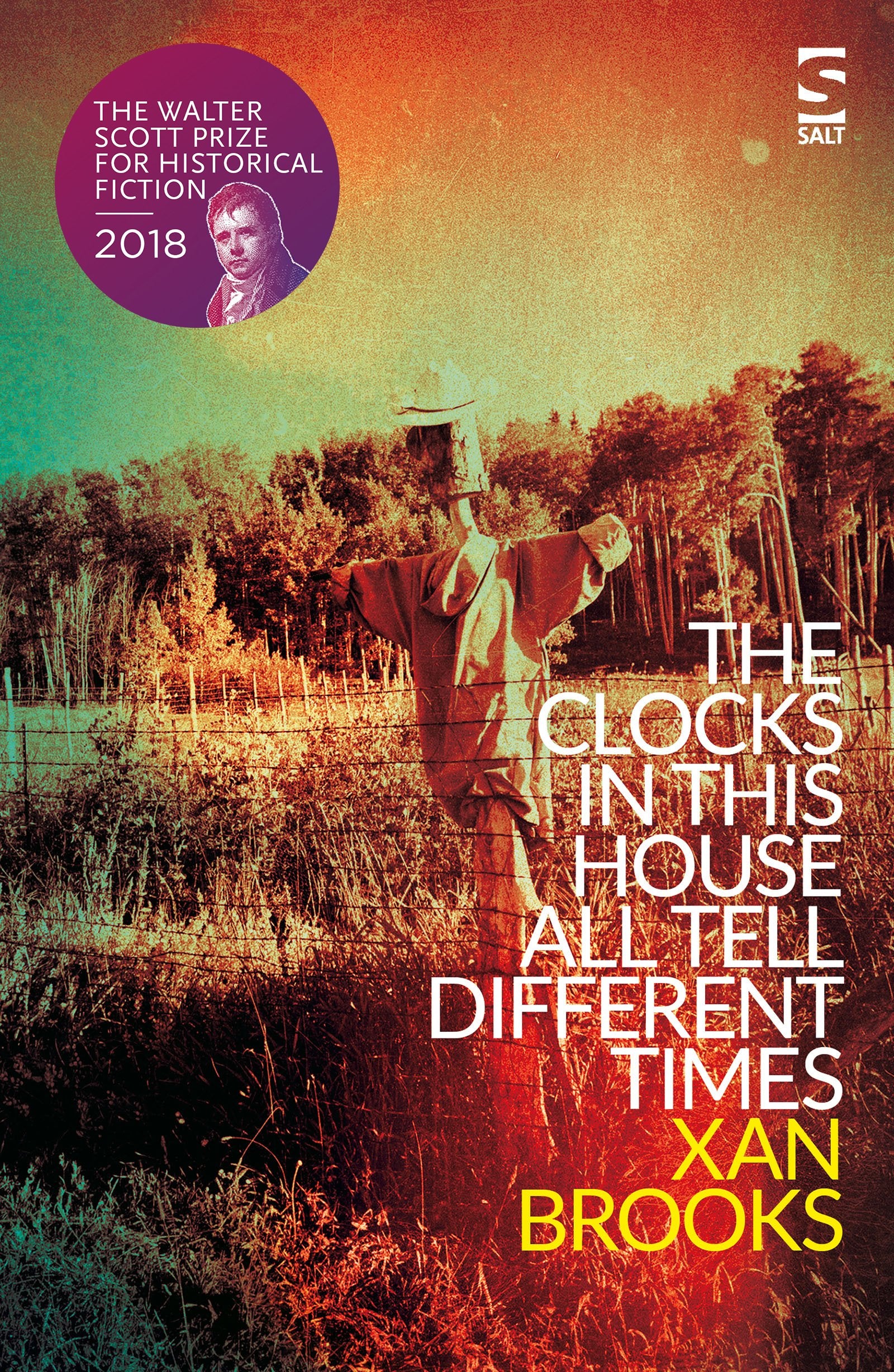 The Clocks in This House All Tell Different Times (Salt Modern Fiction) Contemporary literature