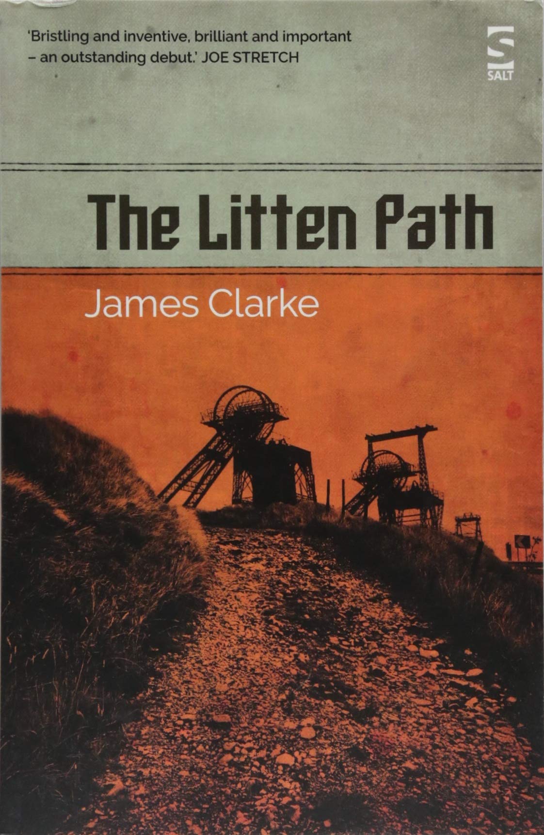 Product Image: The Litten Path (Salt Modern Fiction)