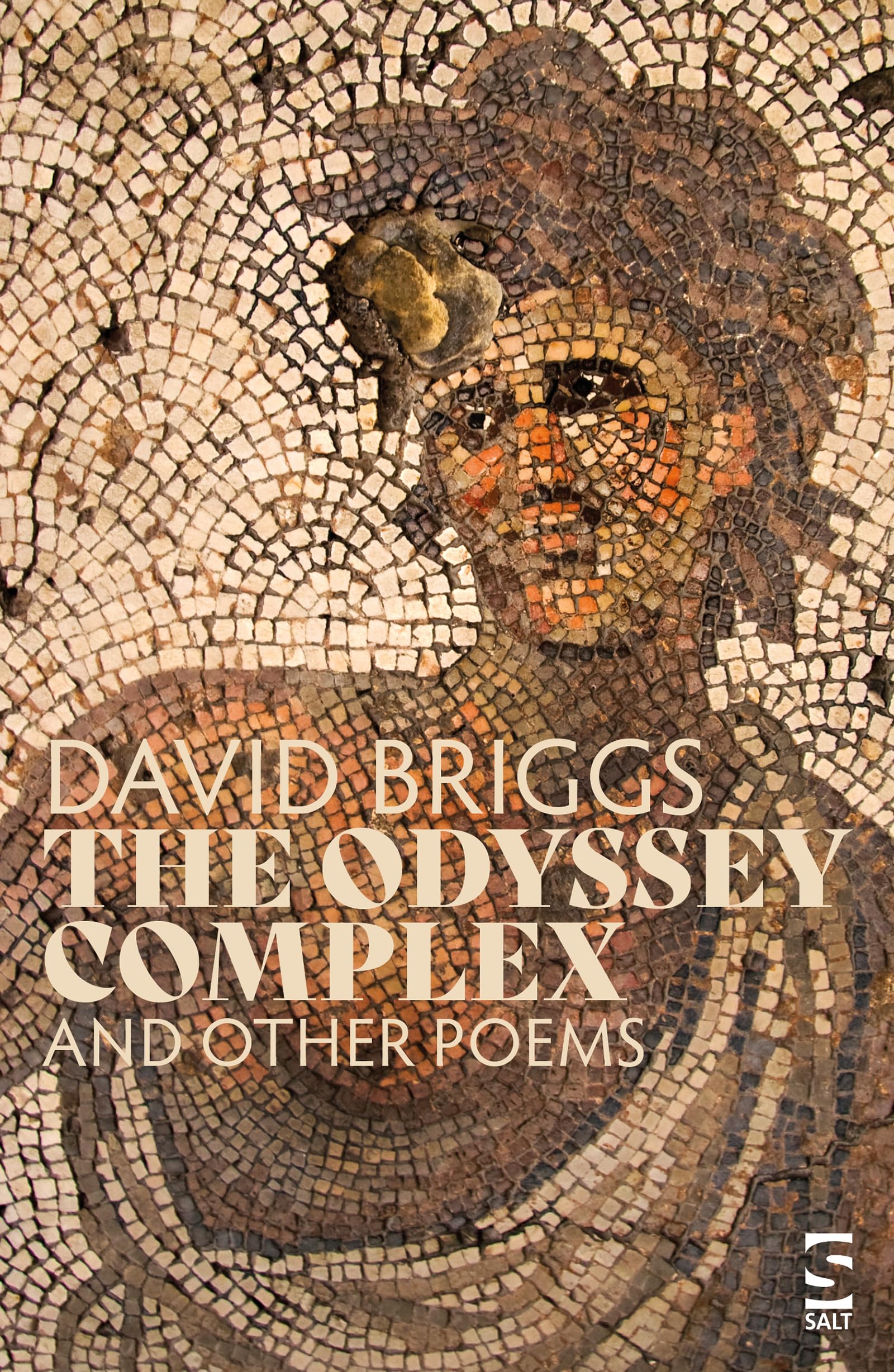 The Odyssey Complex: and Other Poems (Salt Modern Poets) Poetry