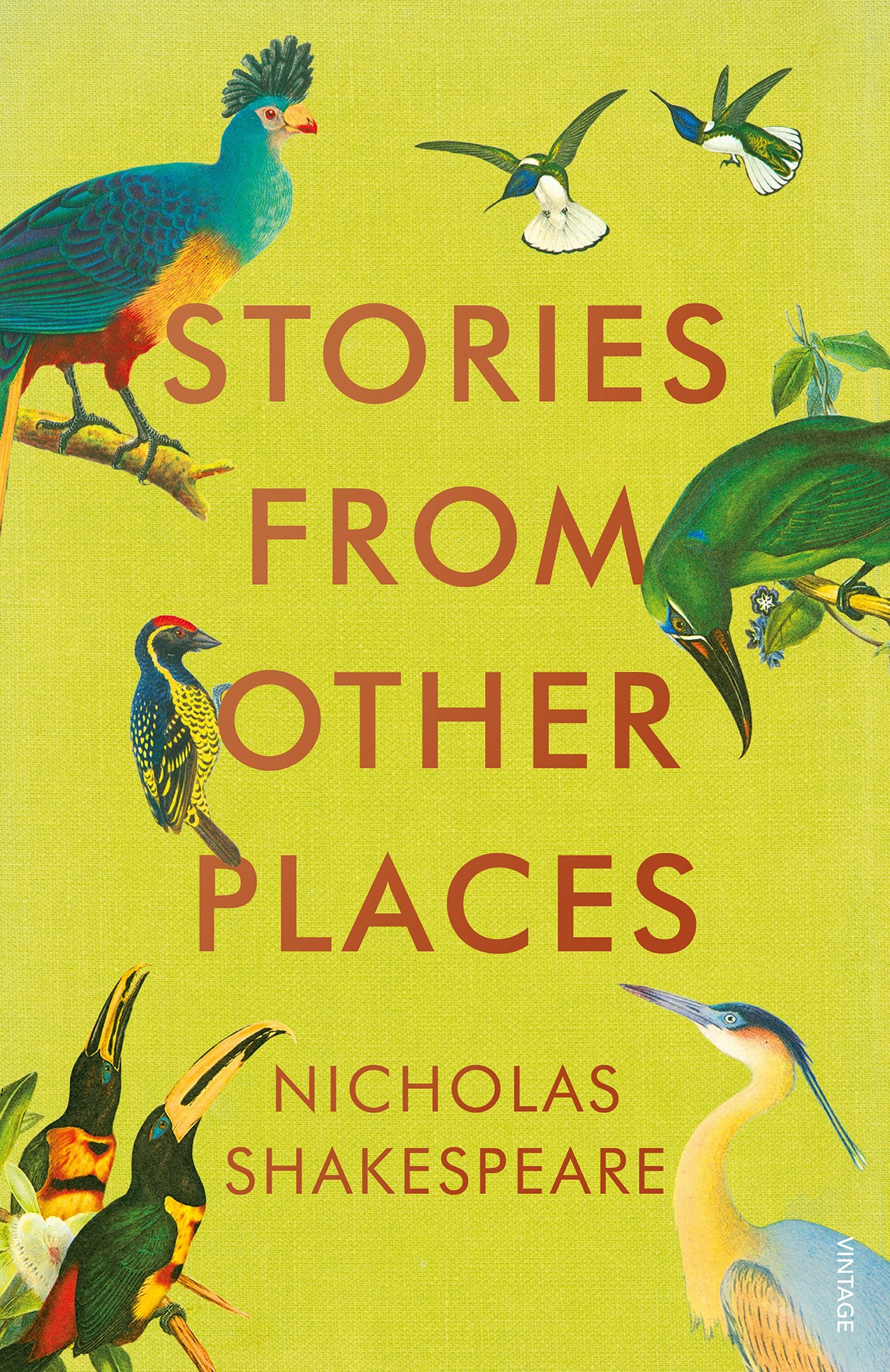 Stories from Other Places Essays & Short Stories