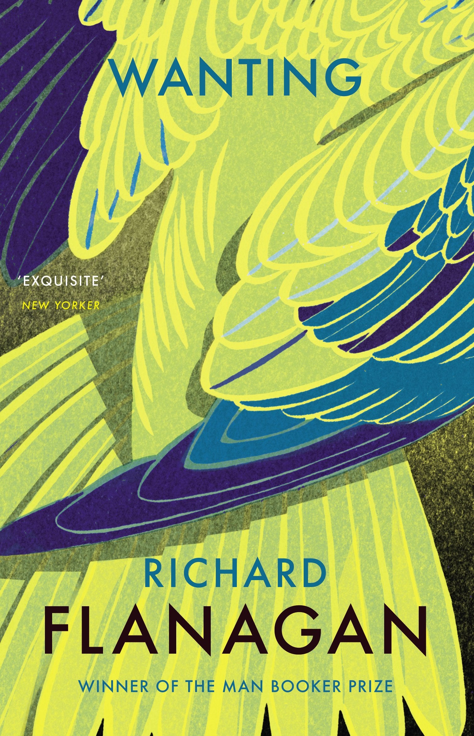 Wanting: The captivating novel by the bestselling Booker Prize-winning author Contemporary literature