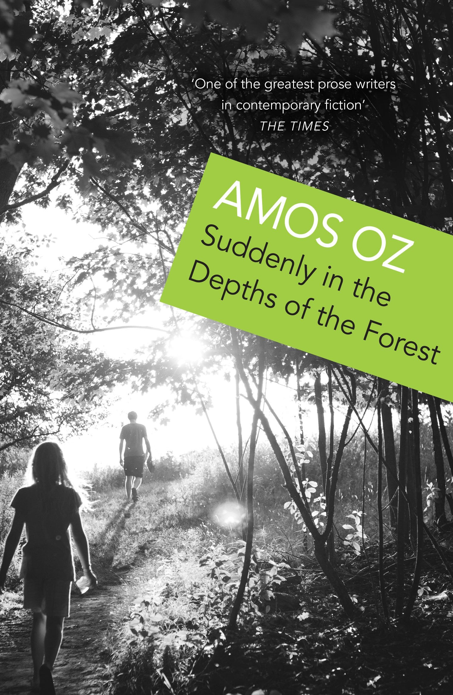 Suddenly in the Depths of the Forest Contemporary literature