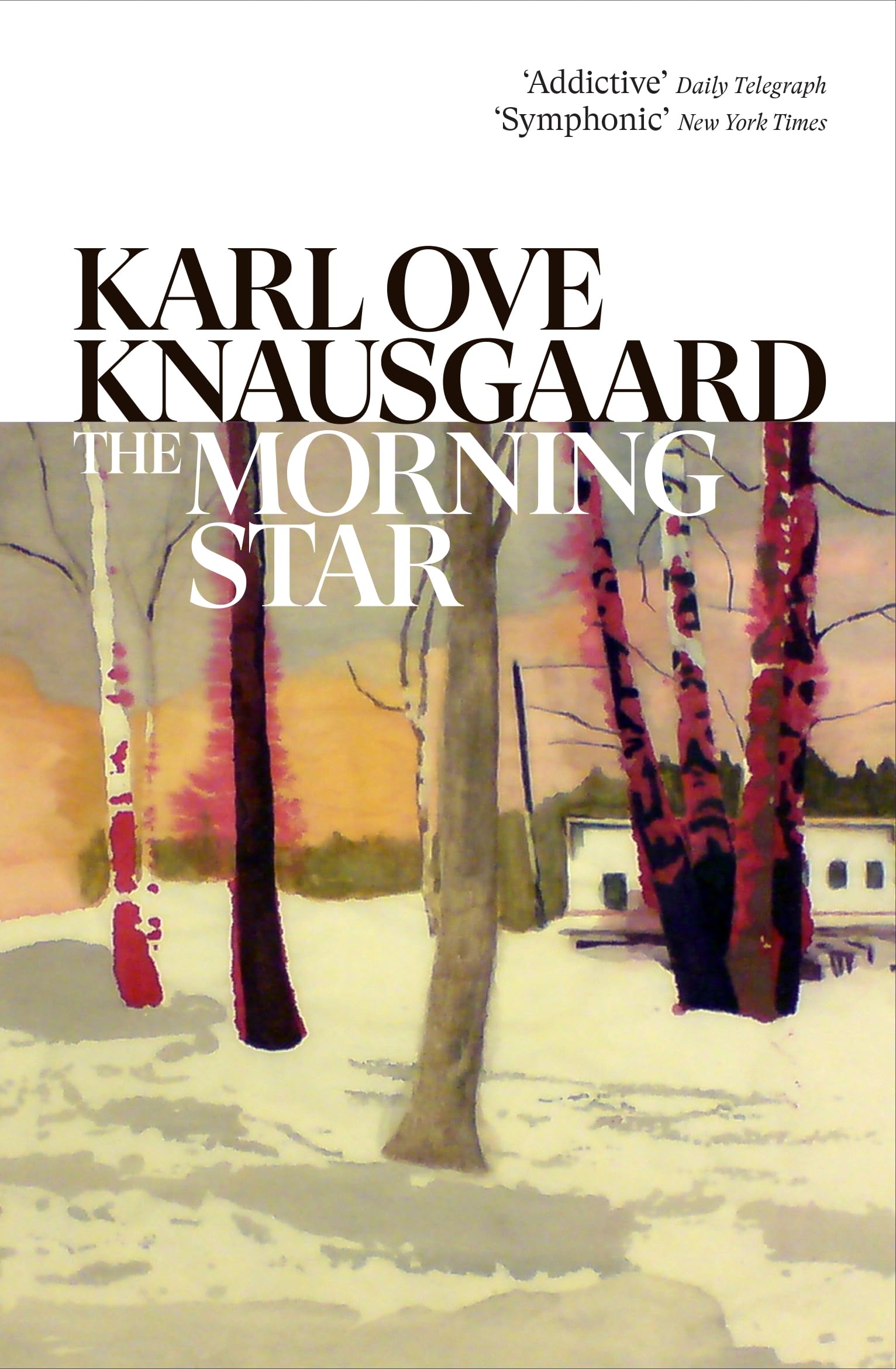 The Morning Star Contemporary literature