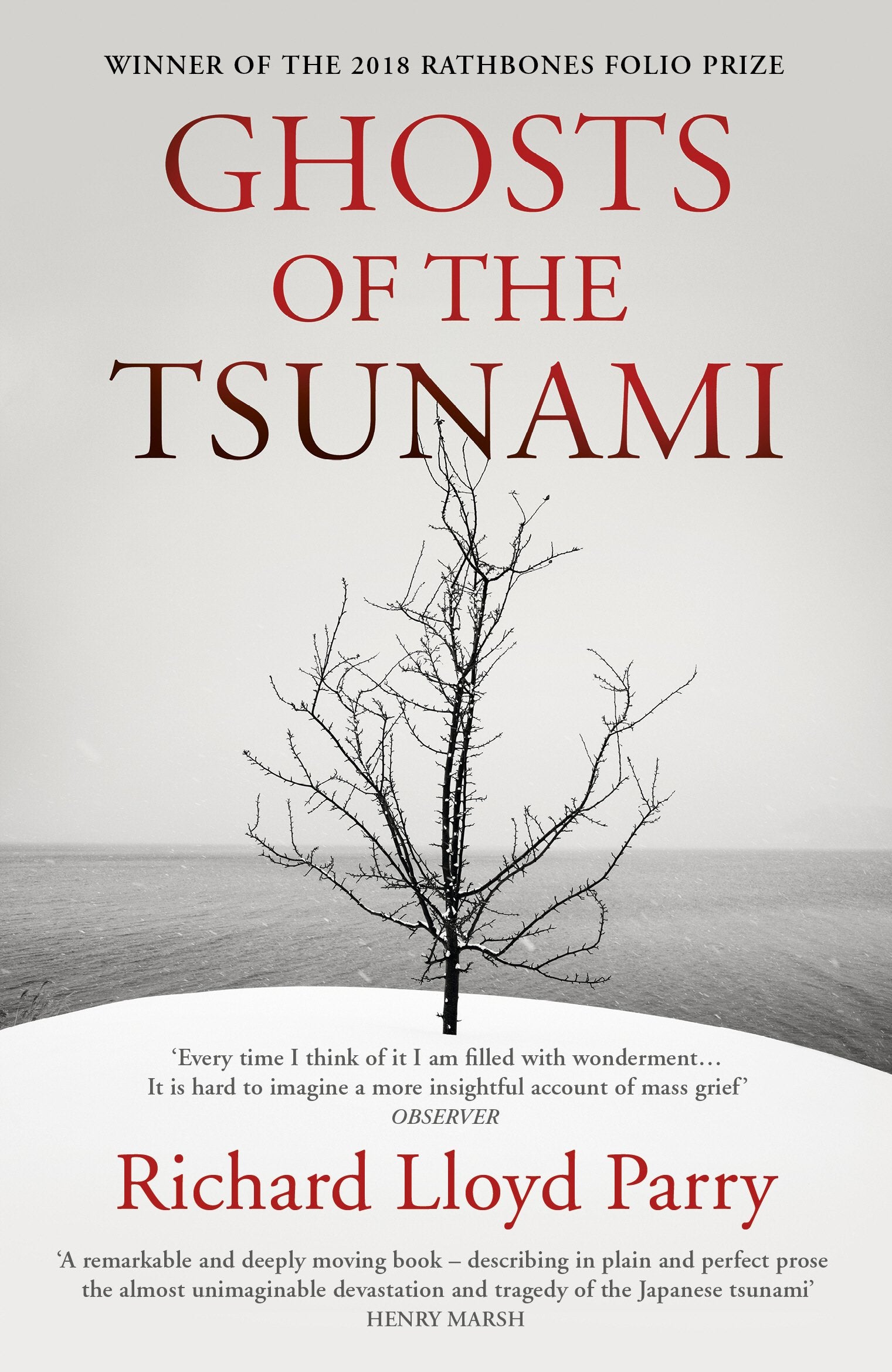 Ghosts of the Tsunami: Death and Life in Japan Social Sciences