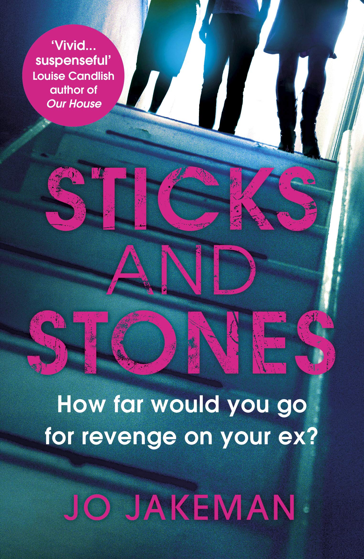 Sticks and Stones: How far would you go to get revenge on your ex? Contemporary literature