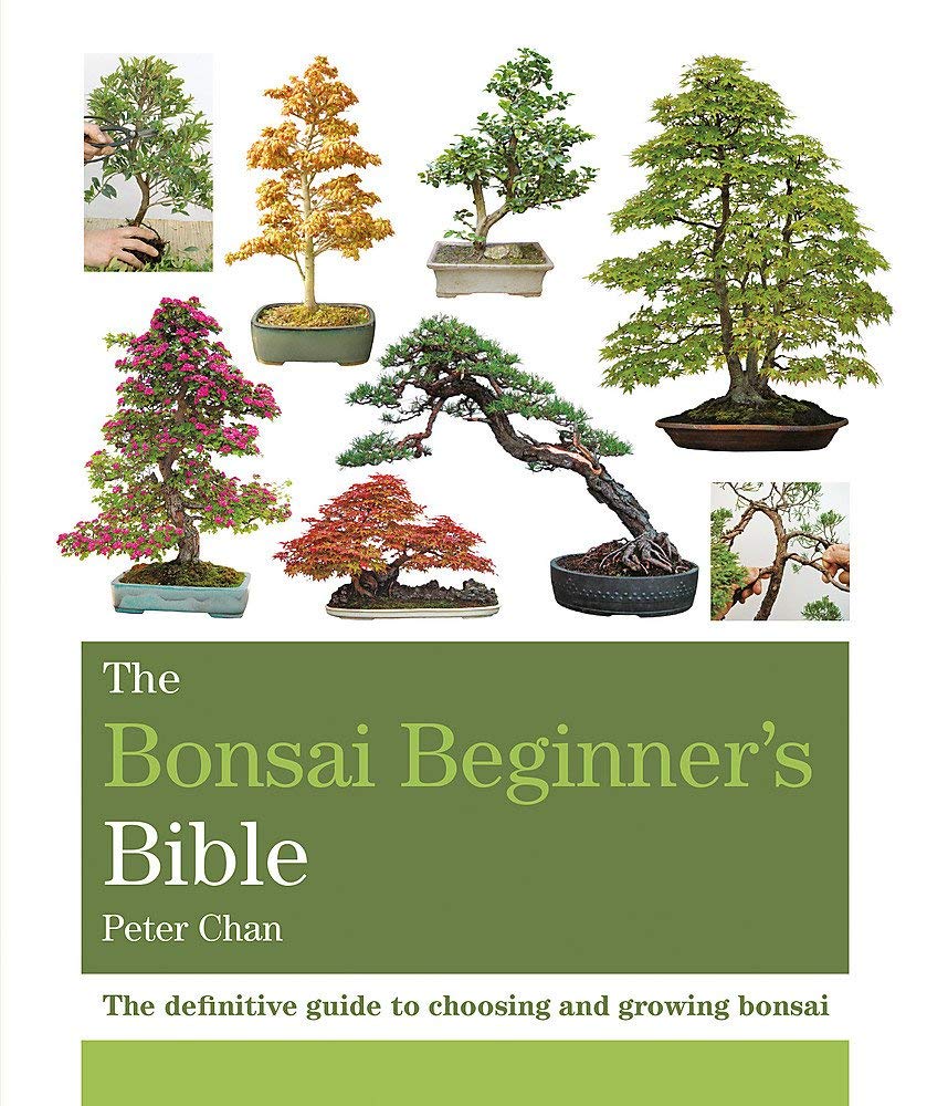 Product Image: The Bonsai Beginner's Bible