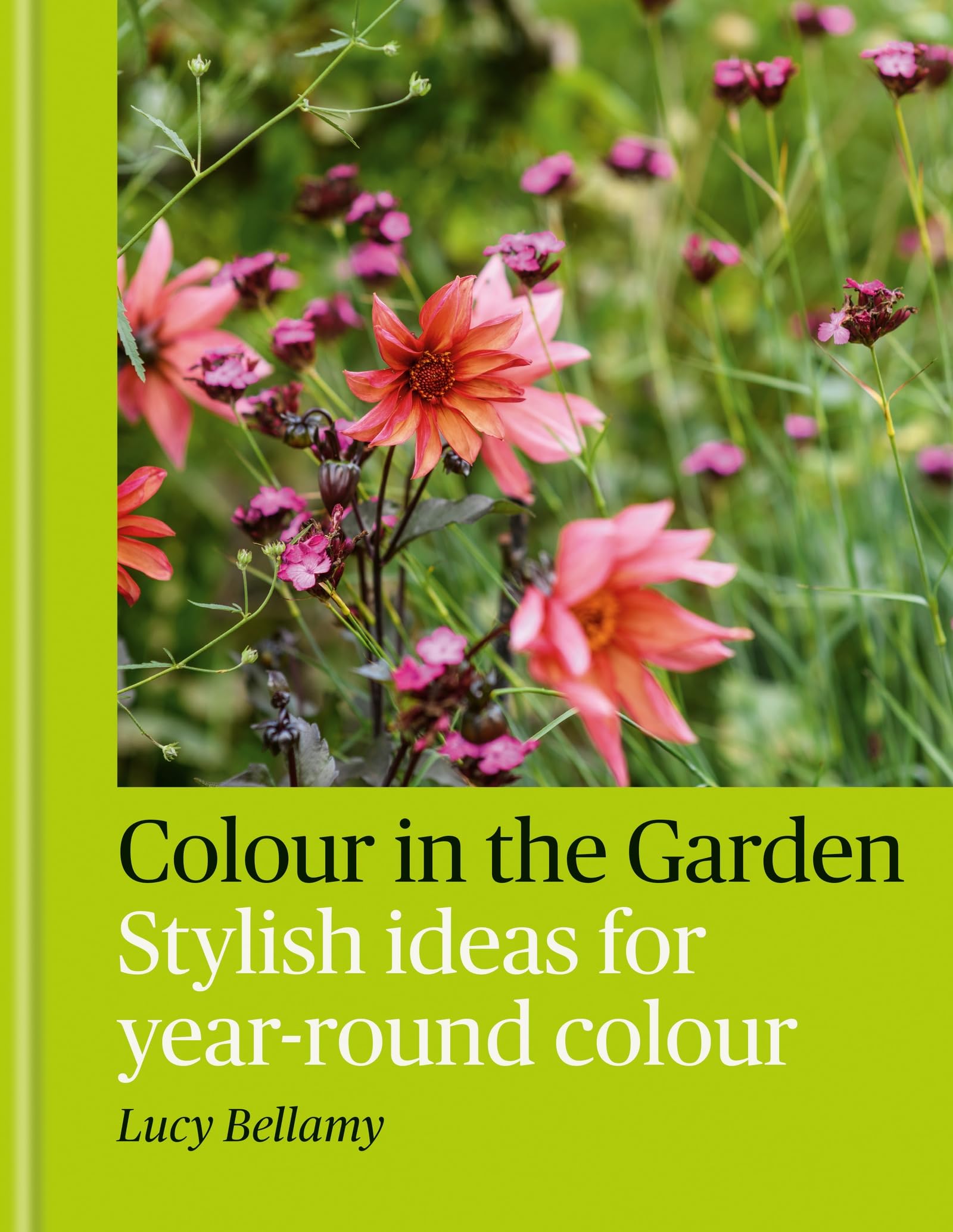 Colour in the Garden Garden & Plants