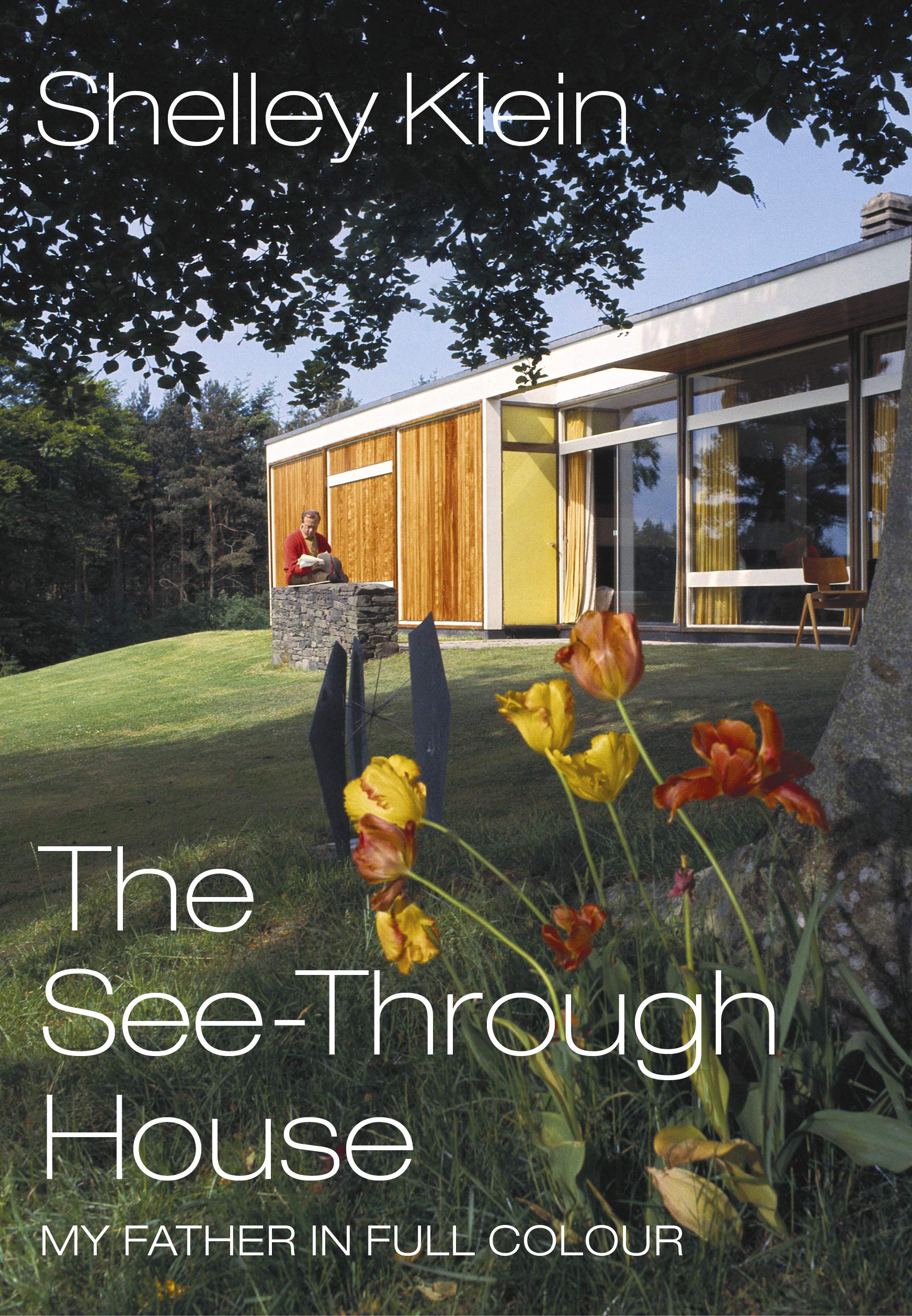 The See-Through House: My Father in Full Colour Art & Literature