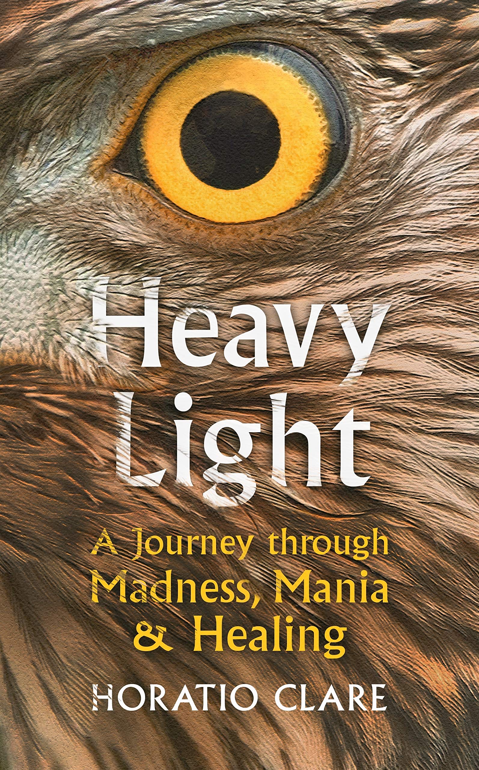 Heavy Light: A Journey Through Madness, Mania and Healing Medicine