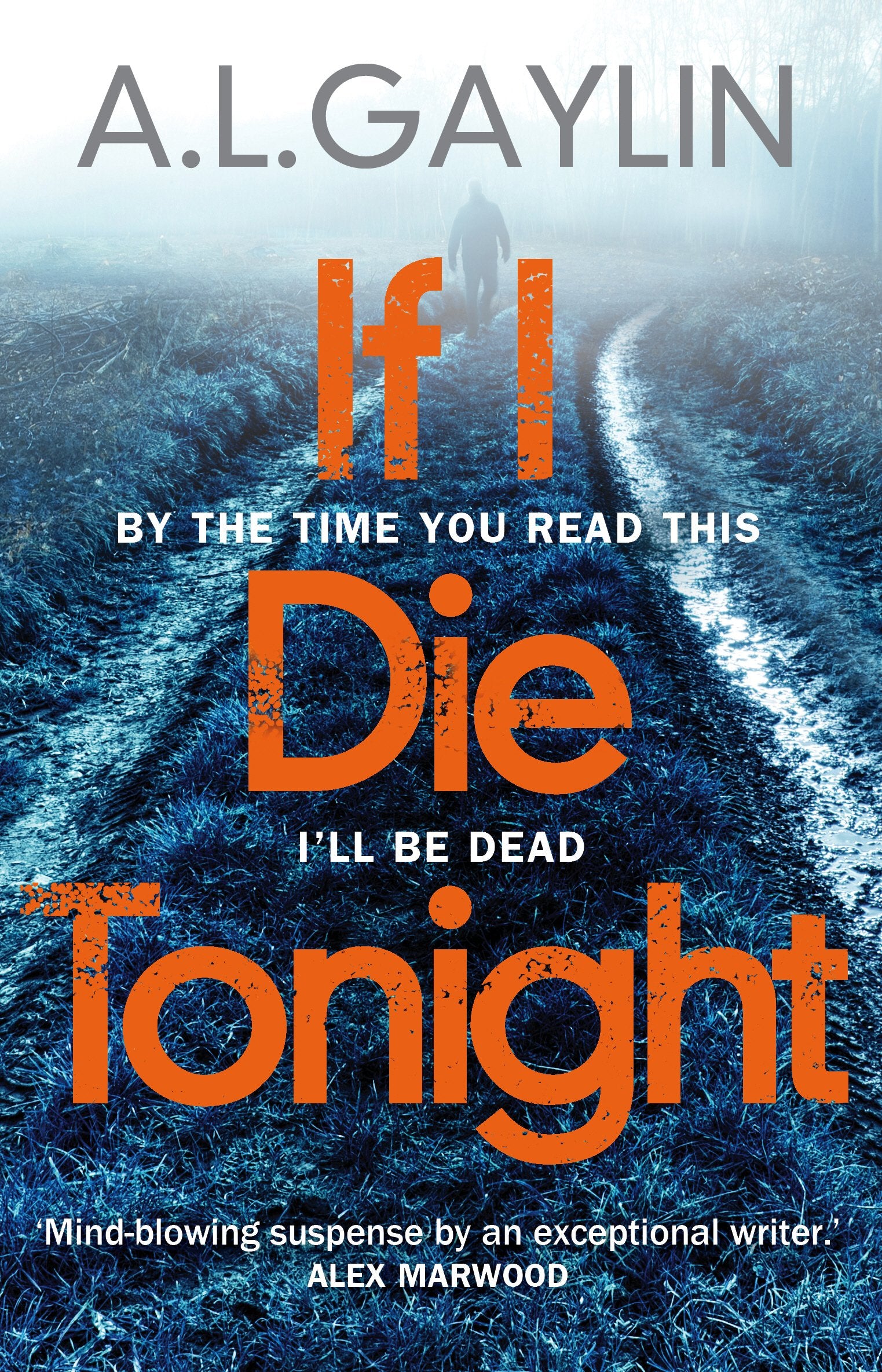 Gaylin, A: If I Die Tonight Contemporary literature