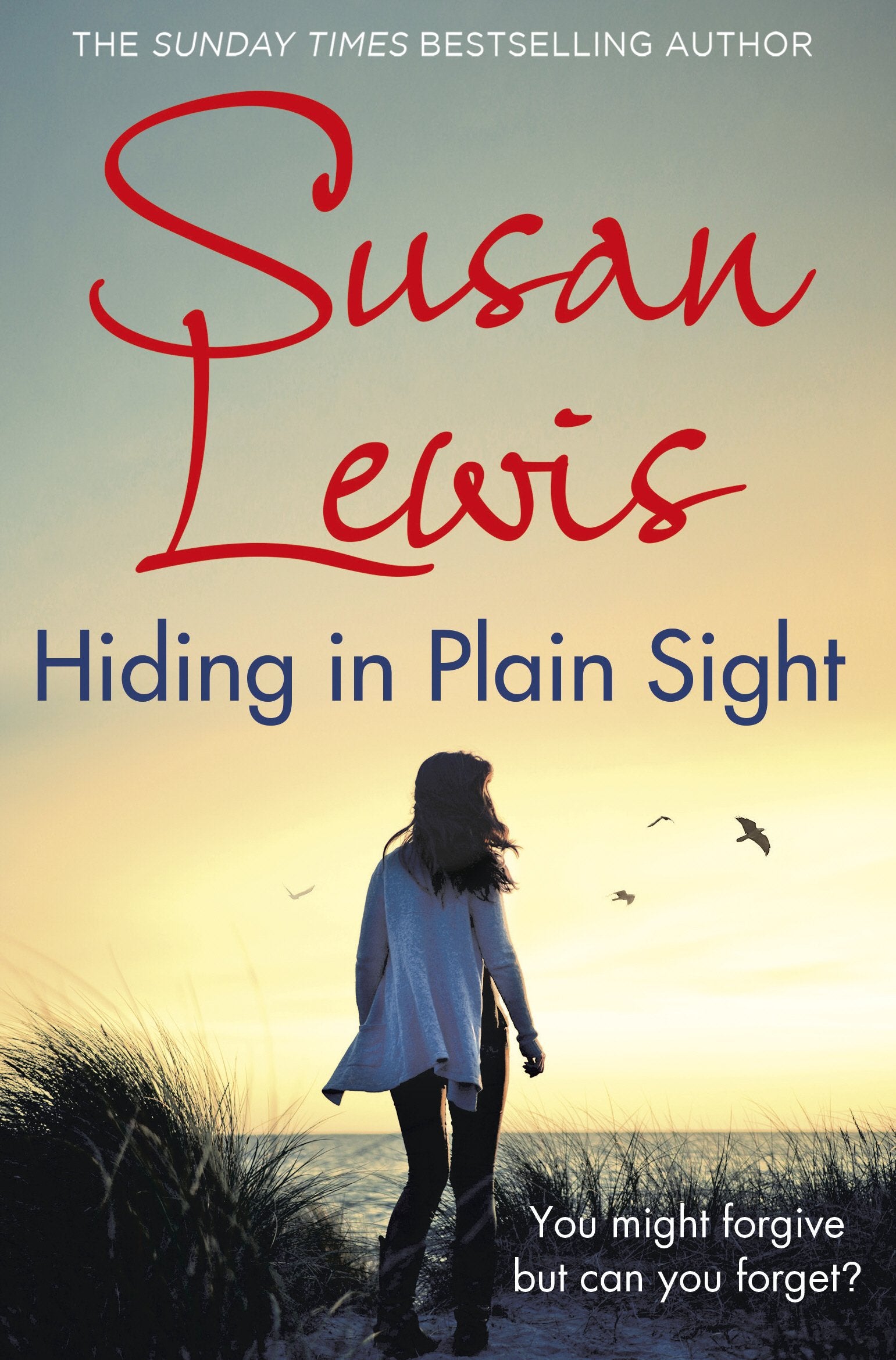 Hiding in Plain Sight (The Detective Andee Lawrence Series) Contemporary literature