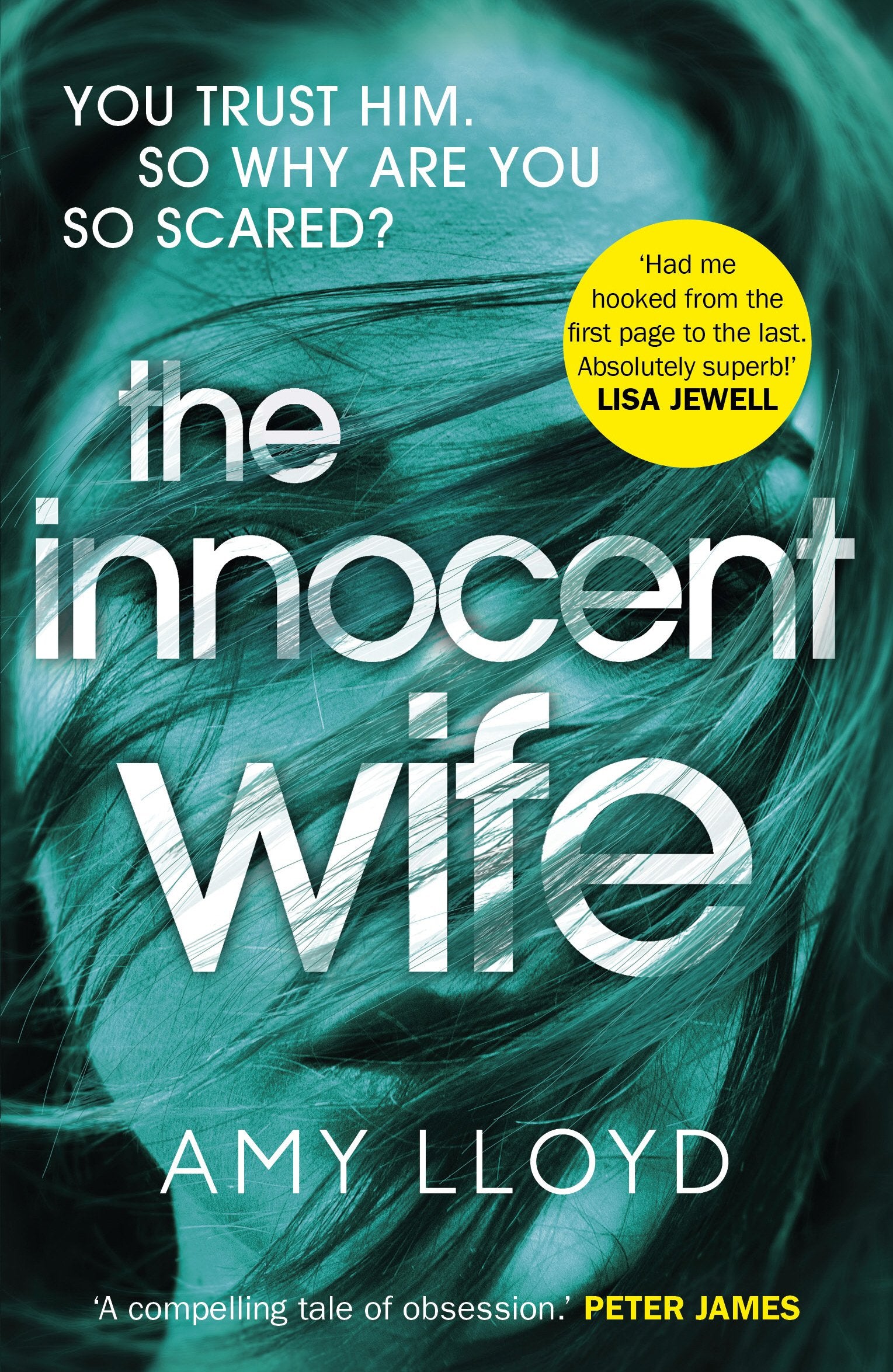 Product Image: The Innocent Wife