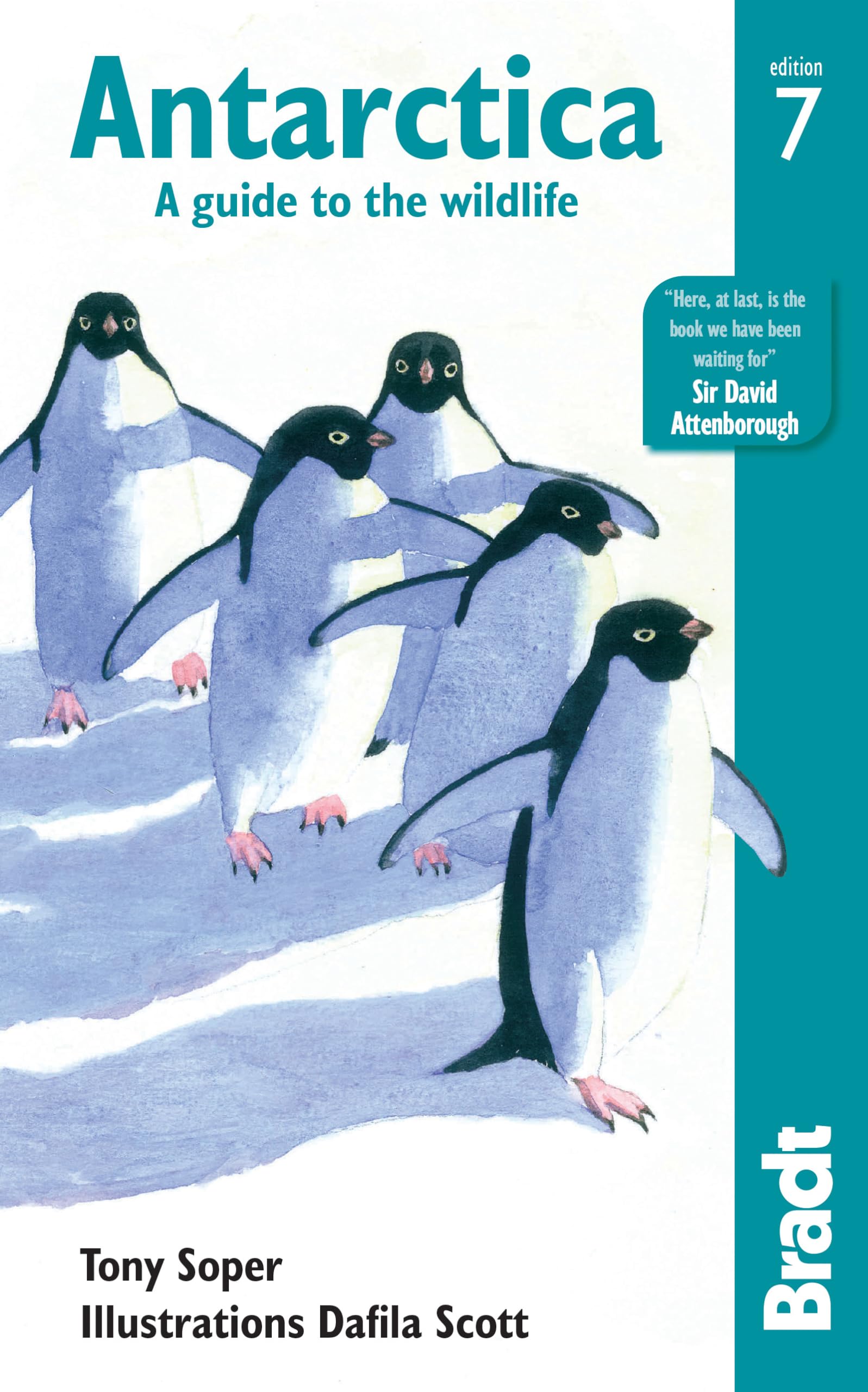 Antarctica: A Guide to the Wildlife (Bradt Wildlife Guide) Leisure, Home & Garden