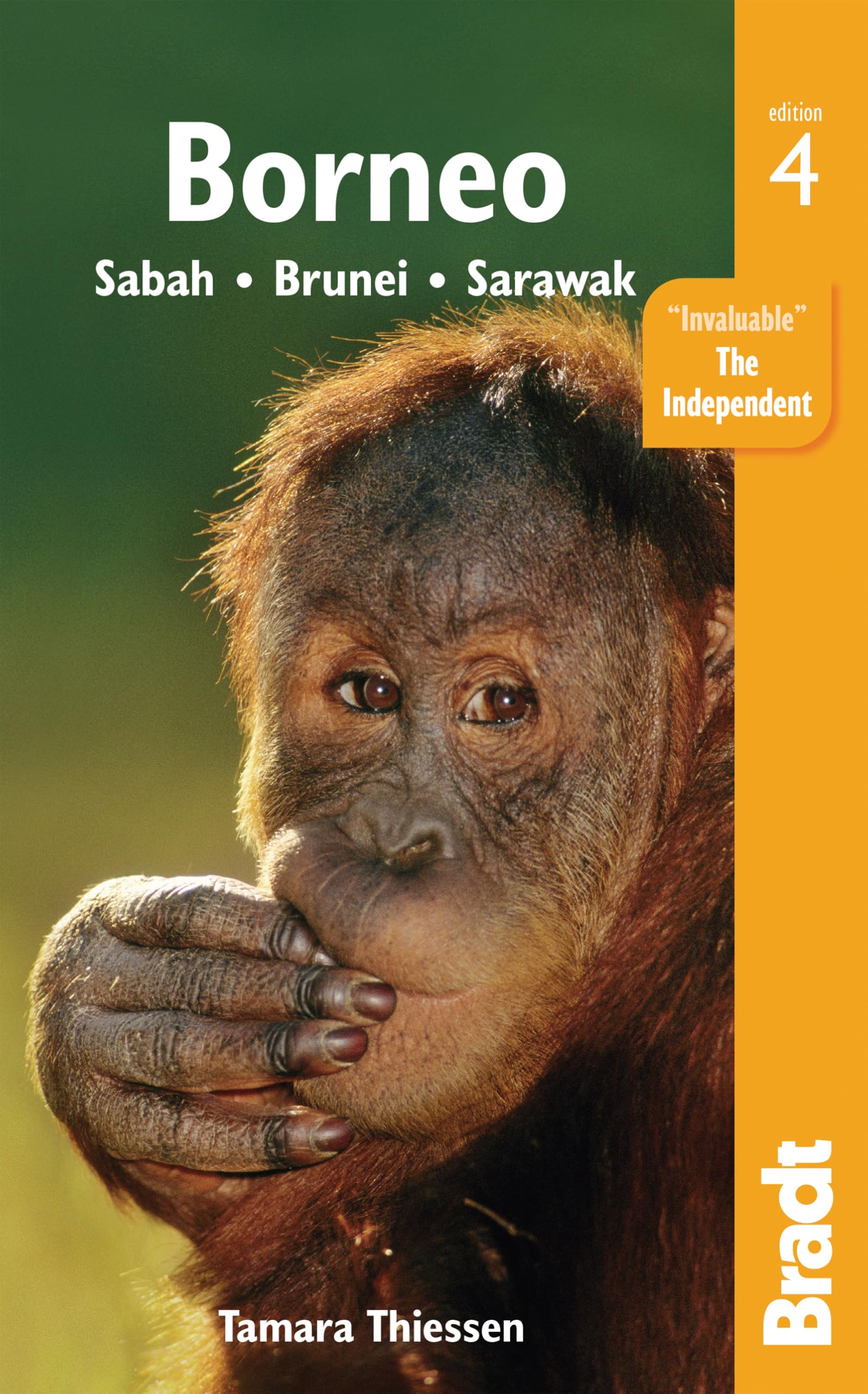 Borneo: Sabah, Brunei, Sarawak (Bradt Travel Guide) Leisure, Home & Garden