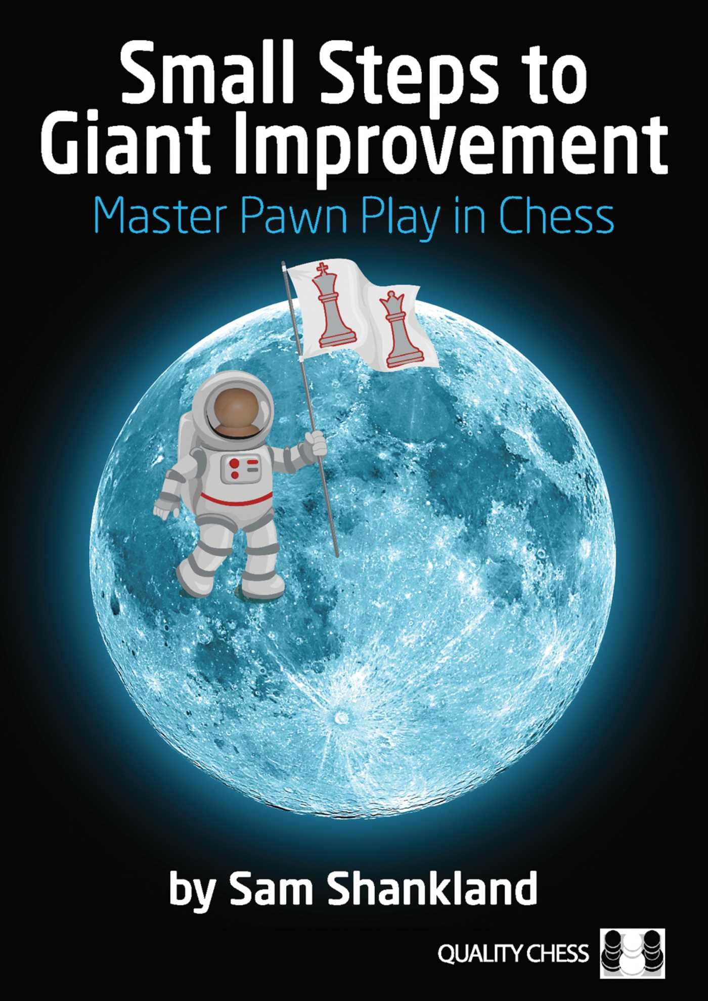 Product Image: Small Steps to Giant Improvement