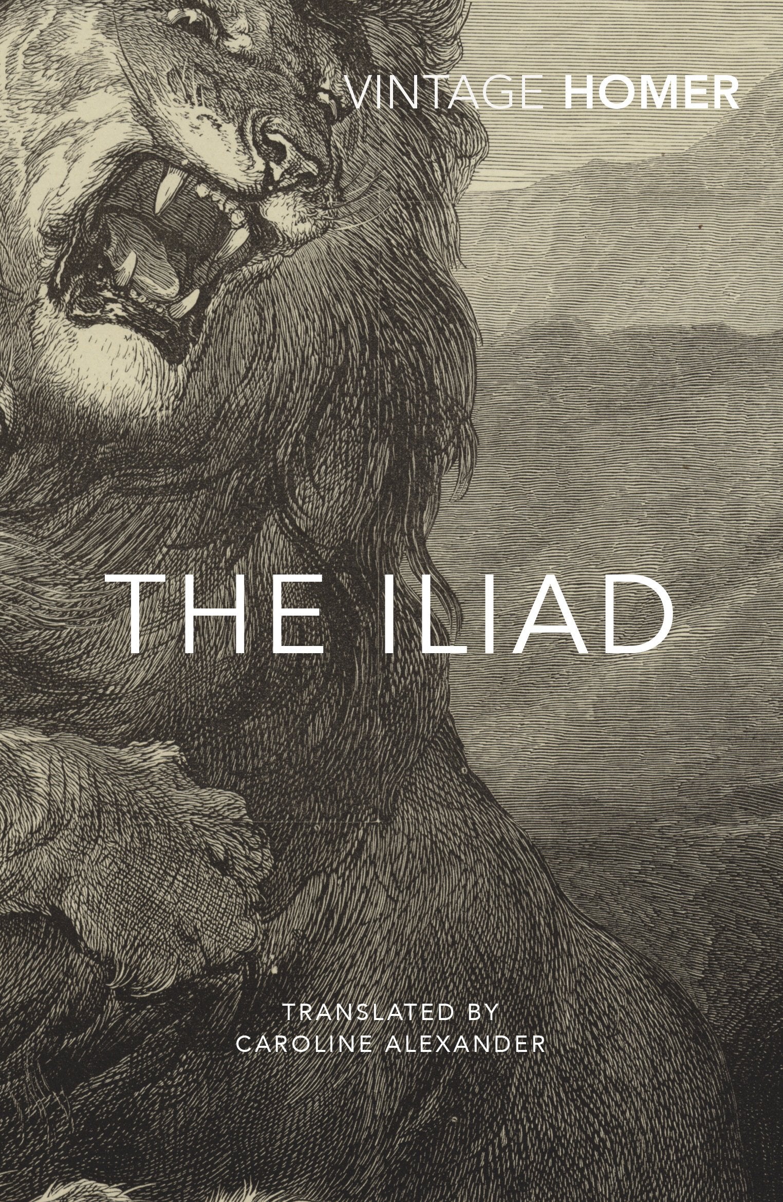 The Iliad Classics