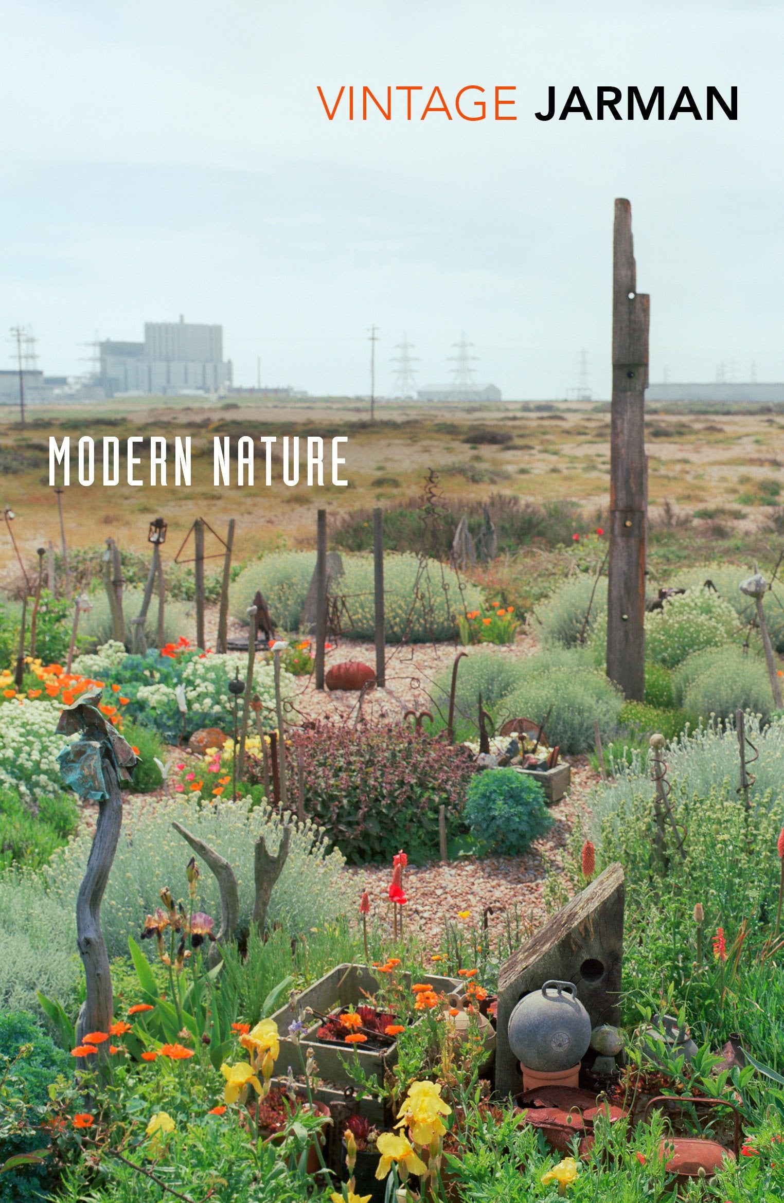 Modern Nature: Journals, 1989 – 1990 (The Journals of Derek Jarman, 1) Books