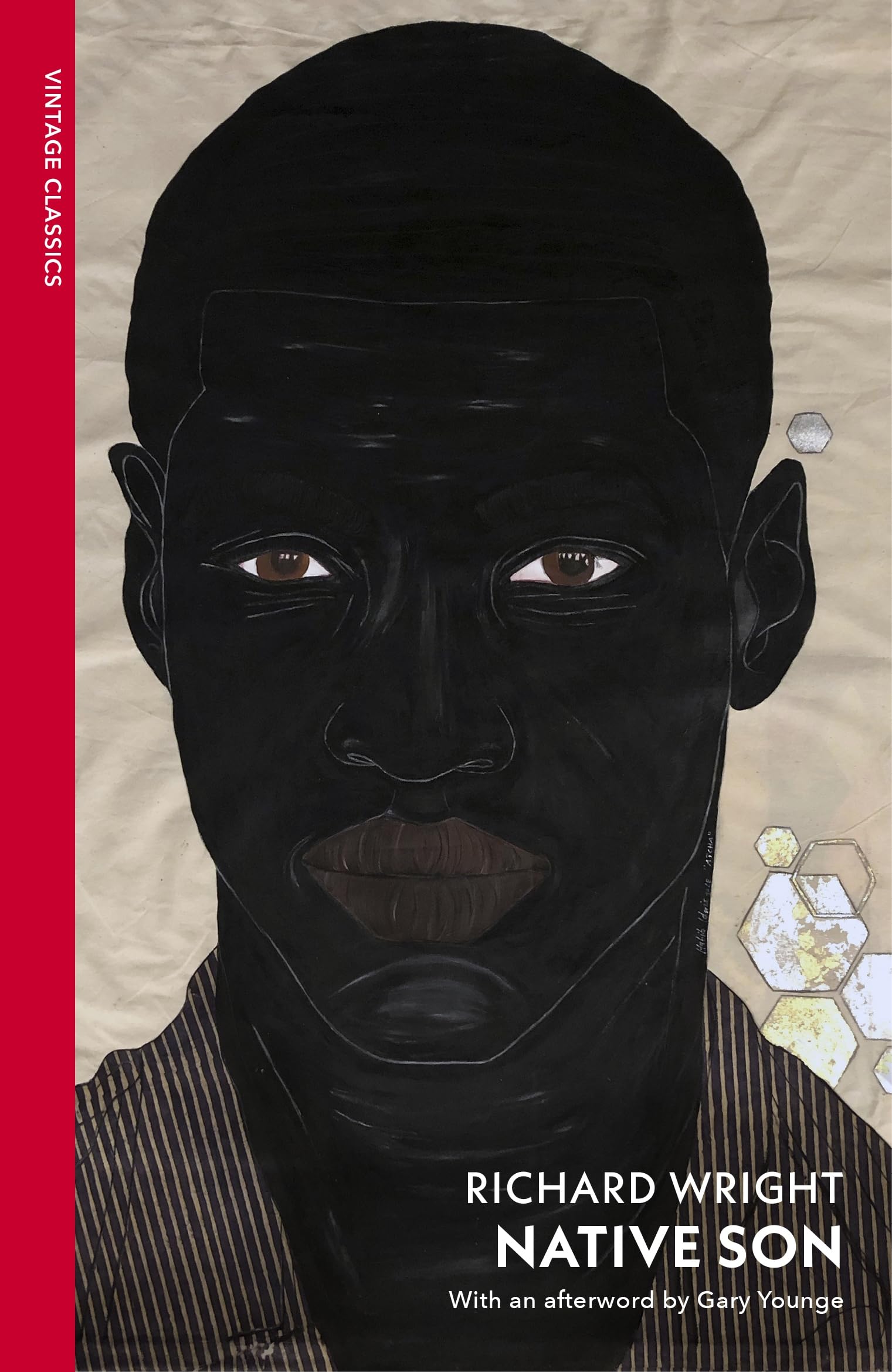 Native Son (Vintage Classics) Social Sciences