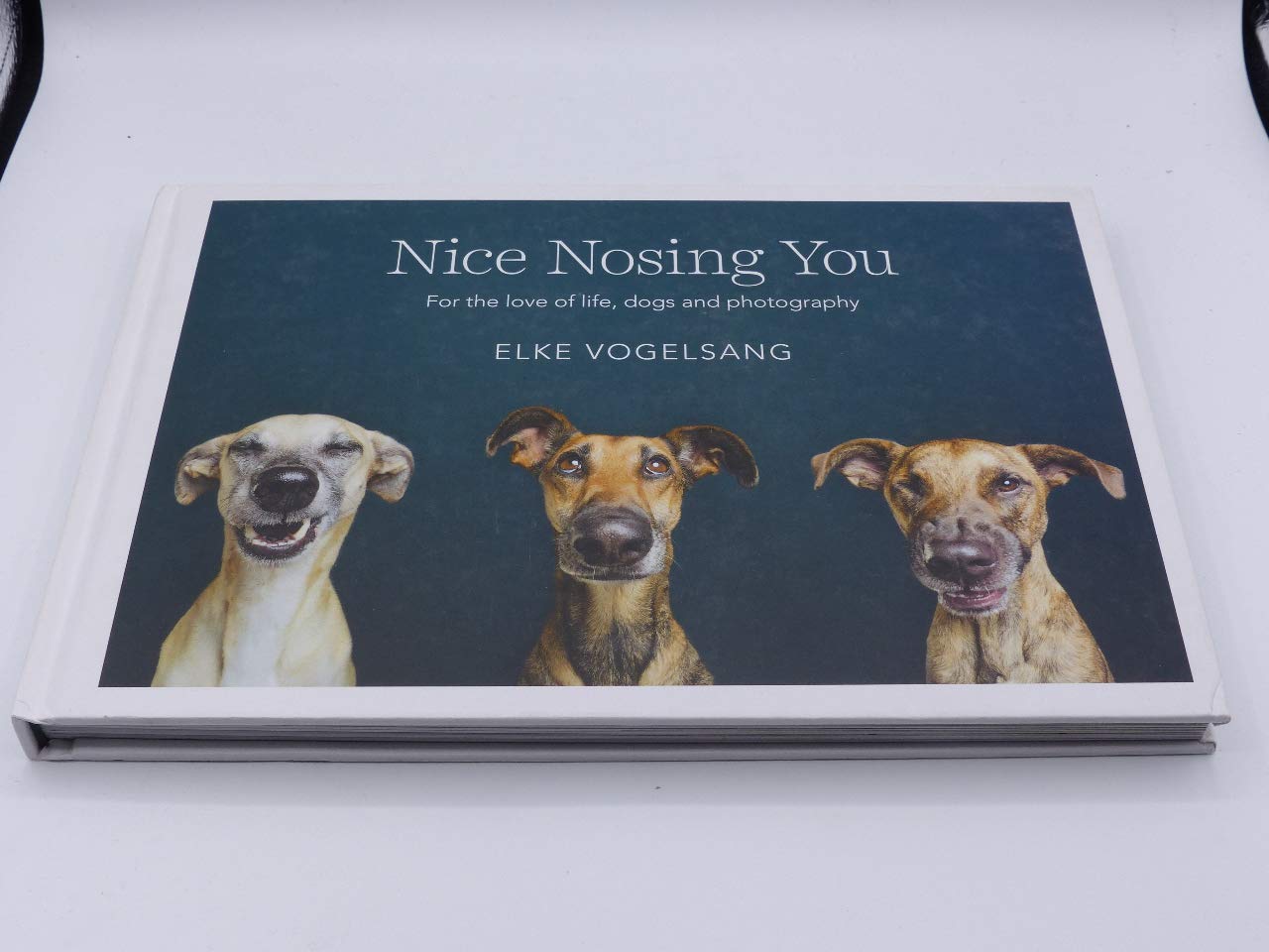 Nice Nosing You: For the Love of Life, Dogs and Photography Travel Books