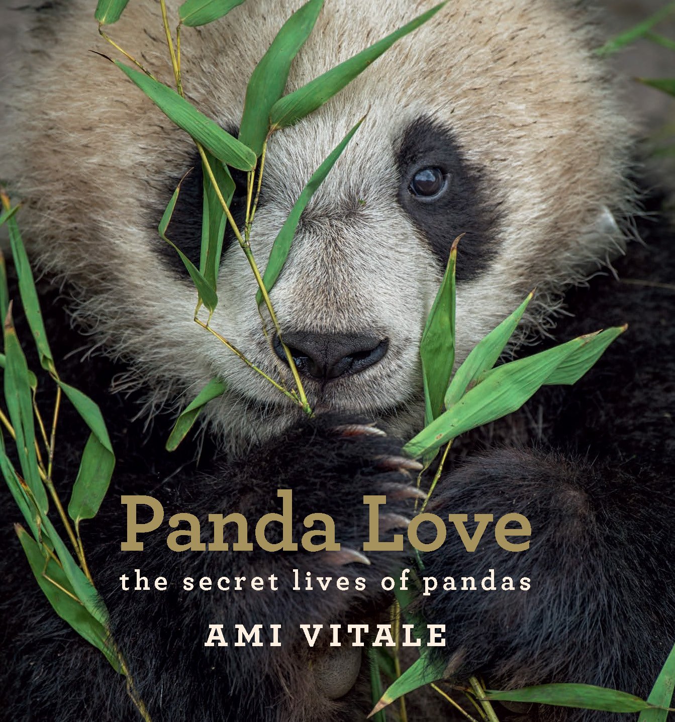 Panda Love: The Secret Lives of Pandas Mathematics